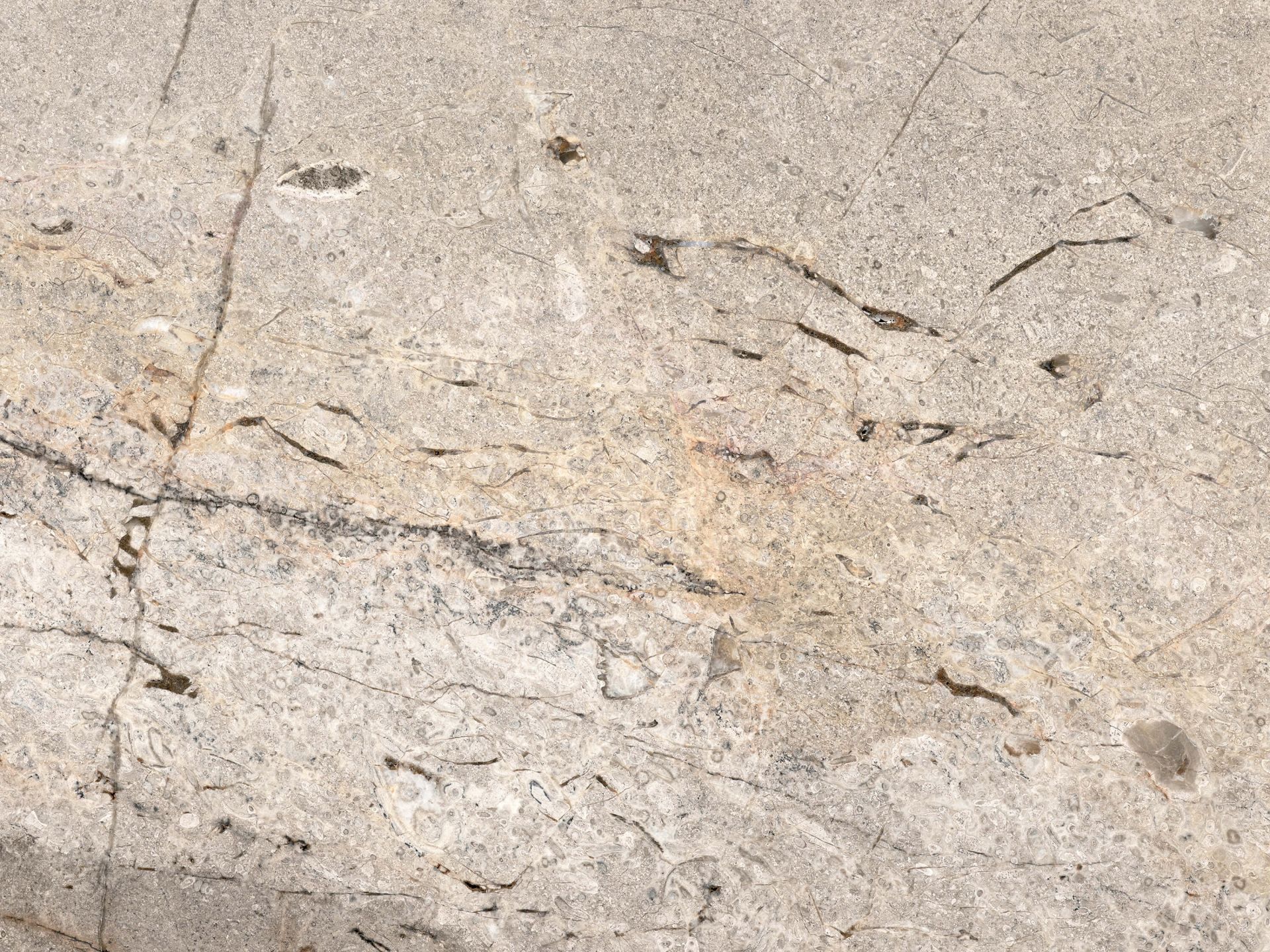 Mármol tono beige Mármol tono beige