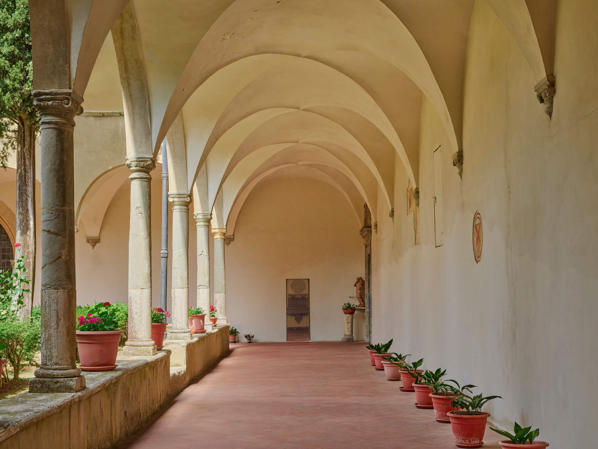 Patio interior con arco y plantas