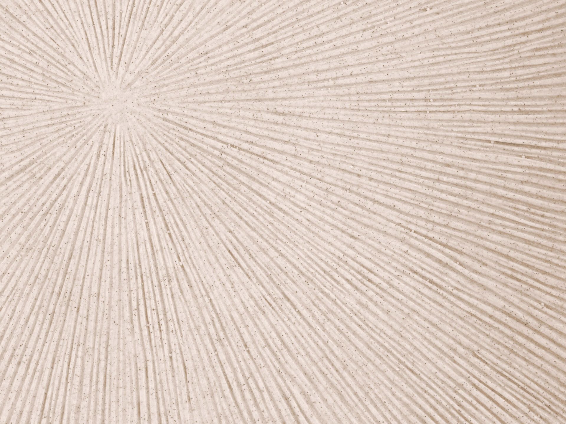 Textura con líneas de lino solar