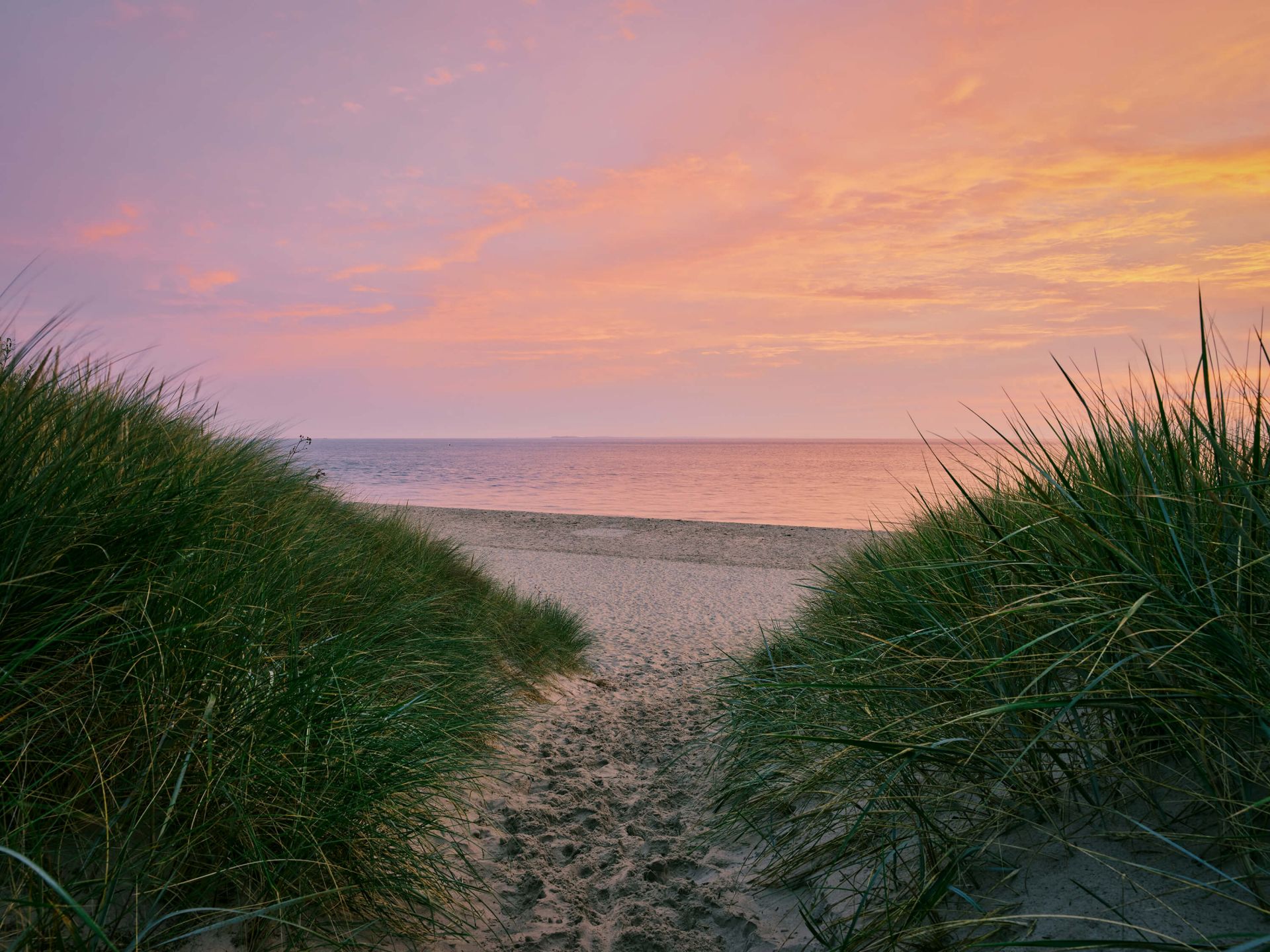 Paso de dunas al amanecer