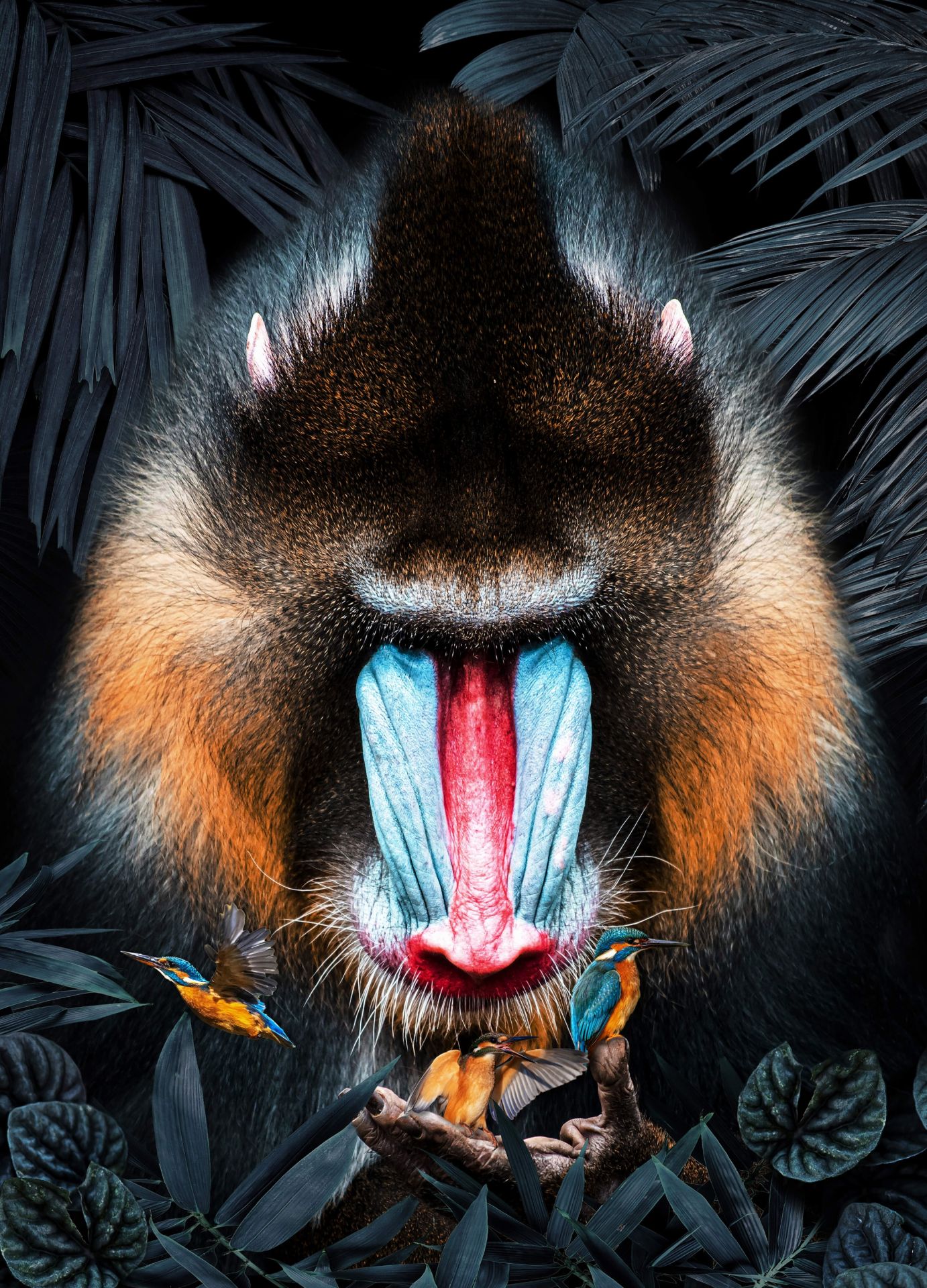 Mandrill Retrato