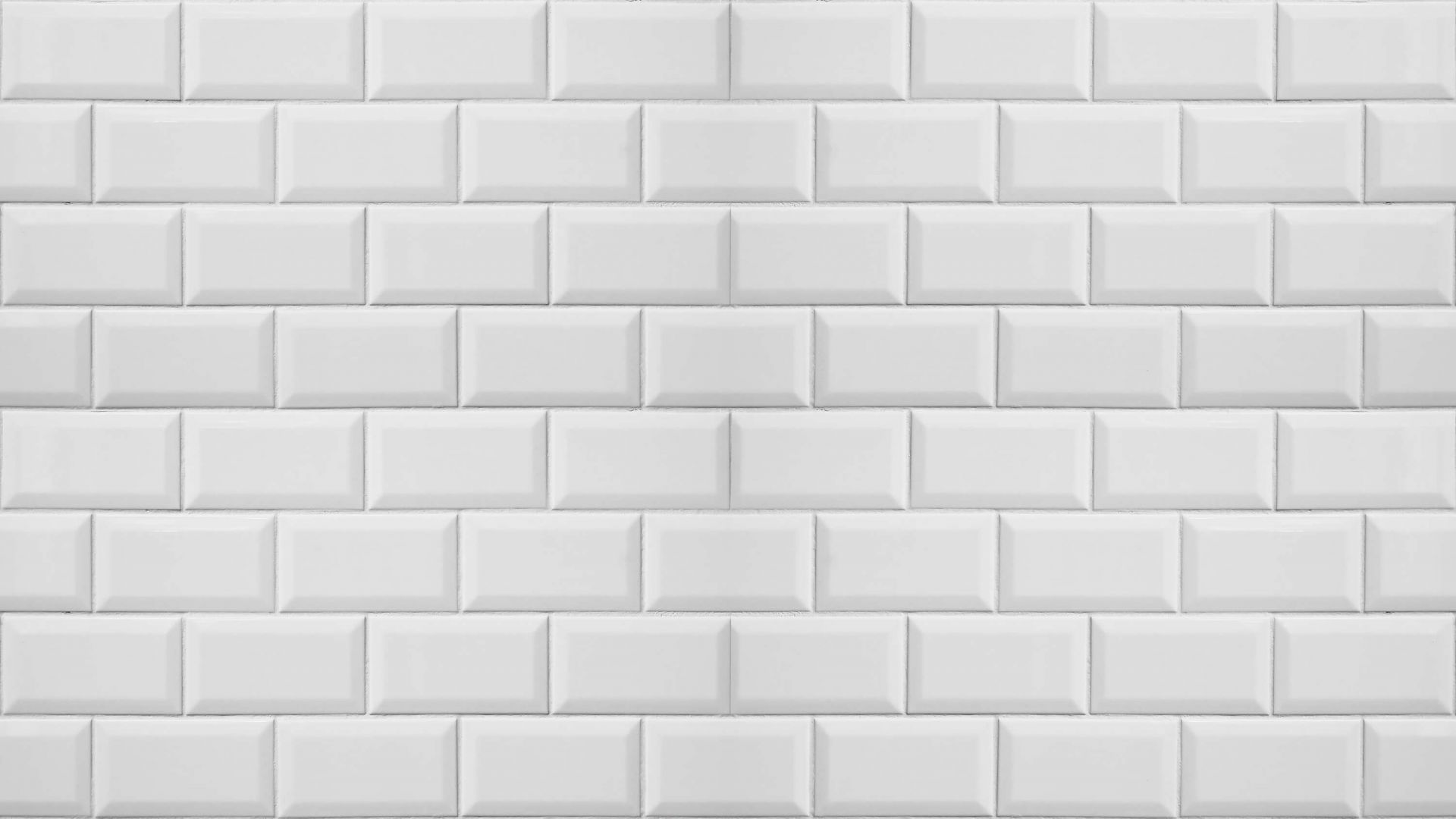 Ladrillos blancos