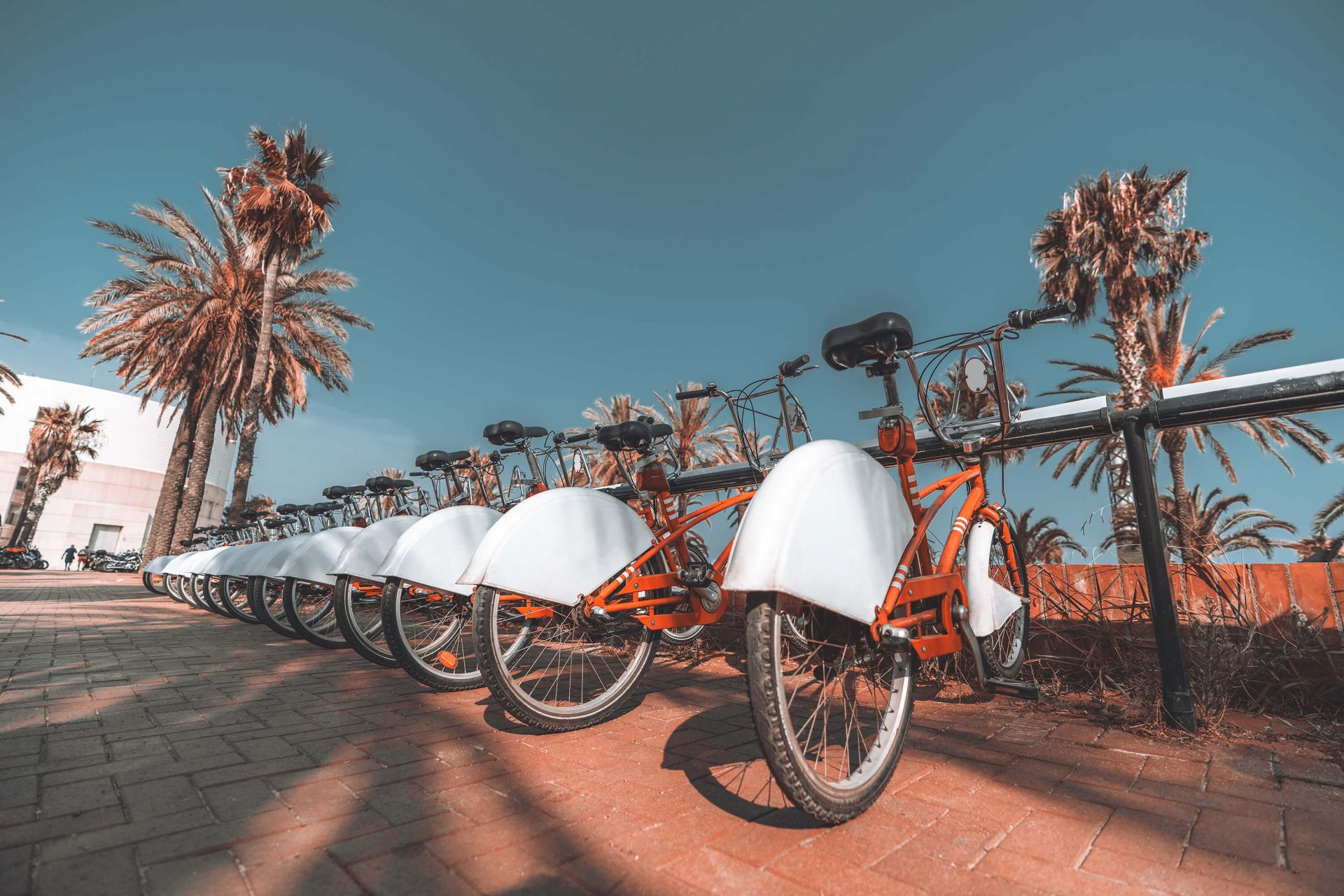 Alquiler de bicicletas