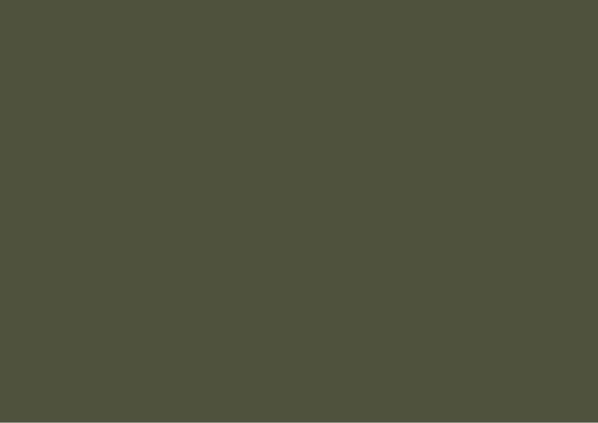 Verde oliva camuflaje