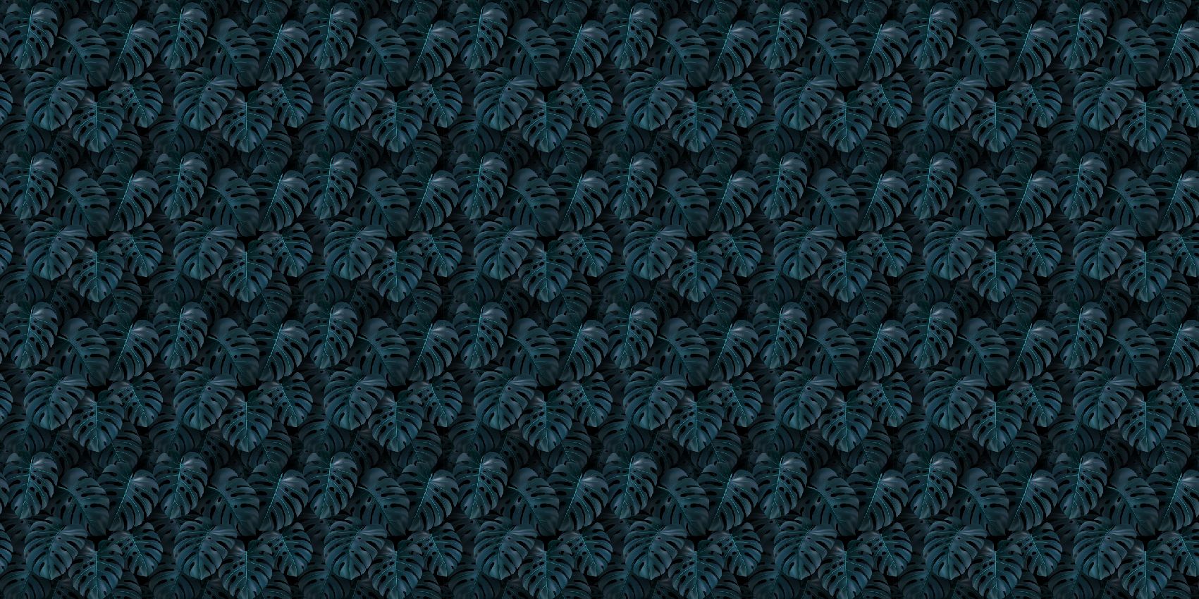 Hojas de Monstera verde tropical