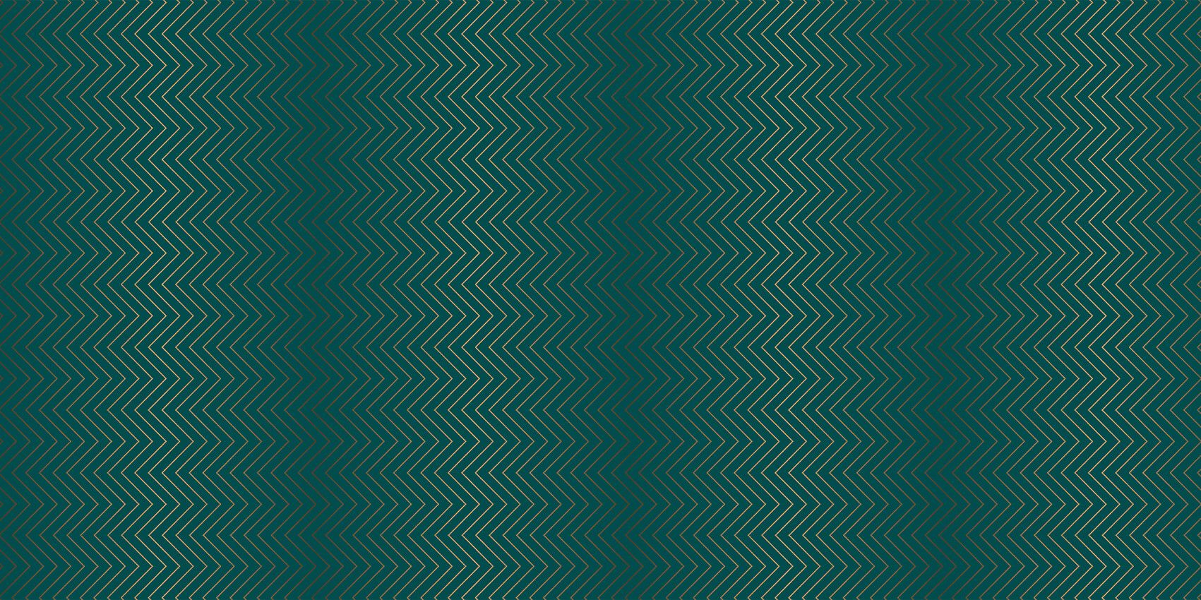 Cerceta zigzag