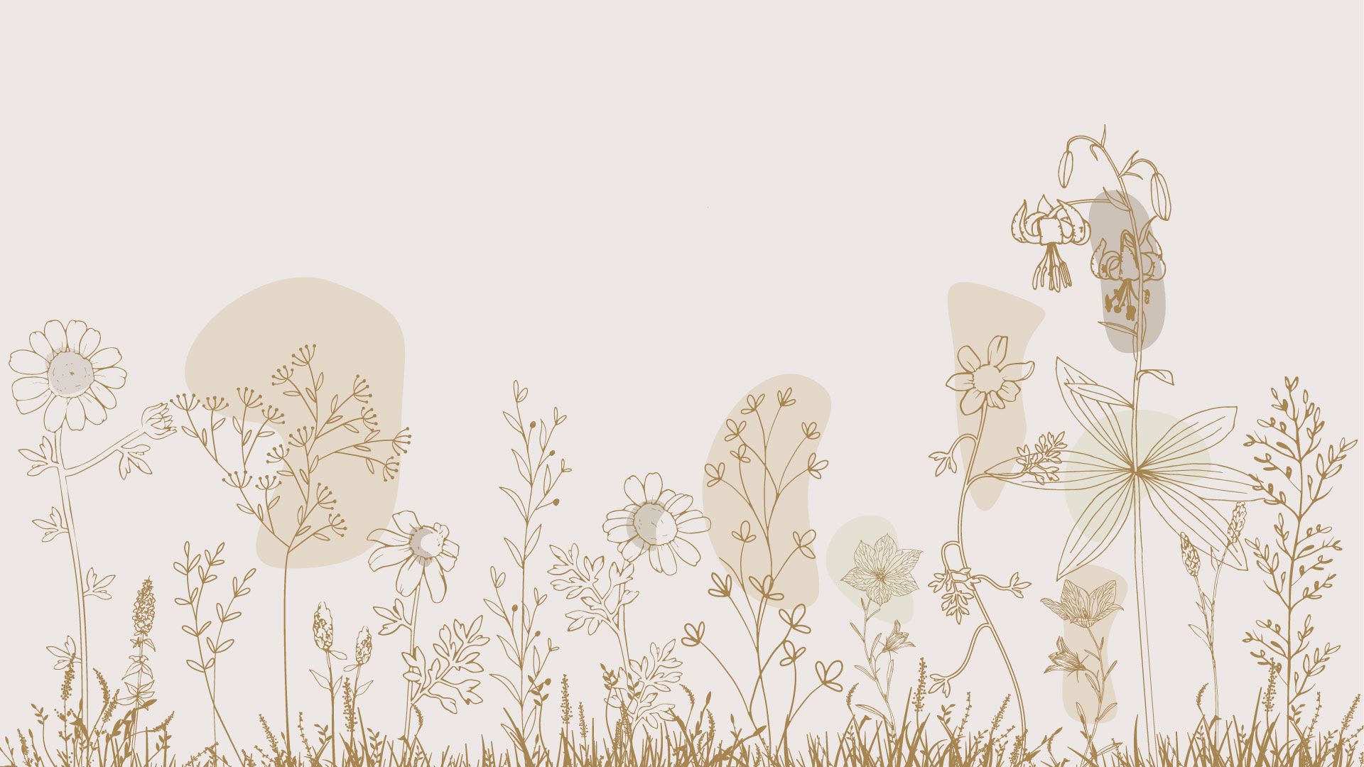 Campo de flores alto beige y colores de la naturaleza