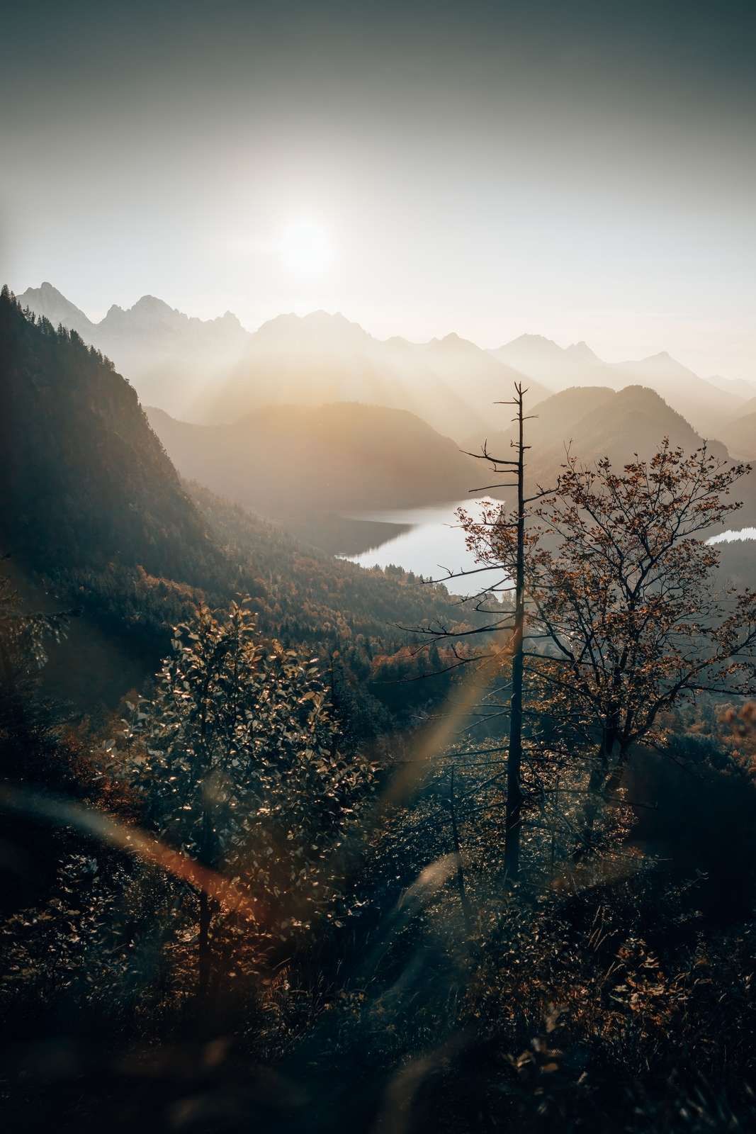Vista de los Alpes