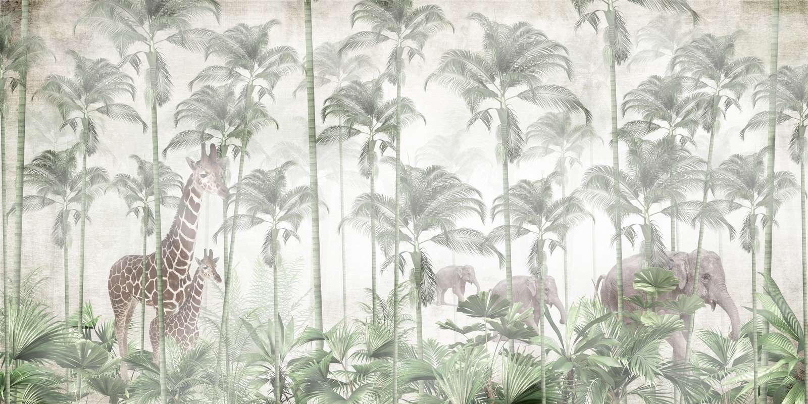 Amanecer en la Selva
