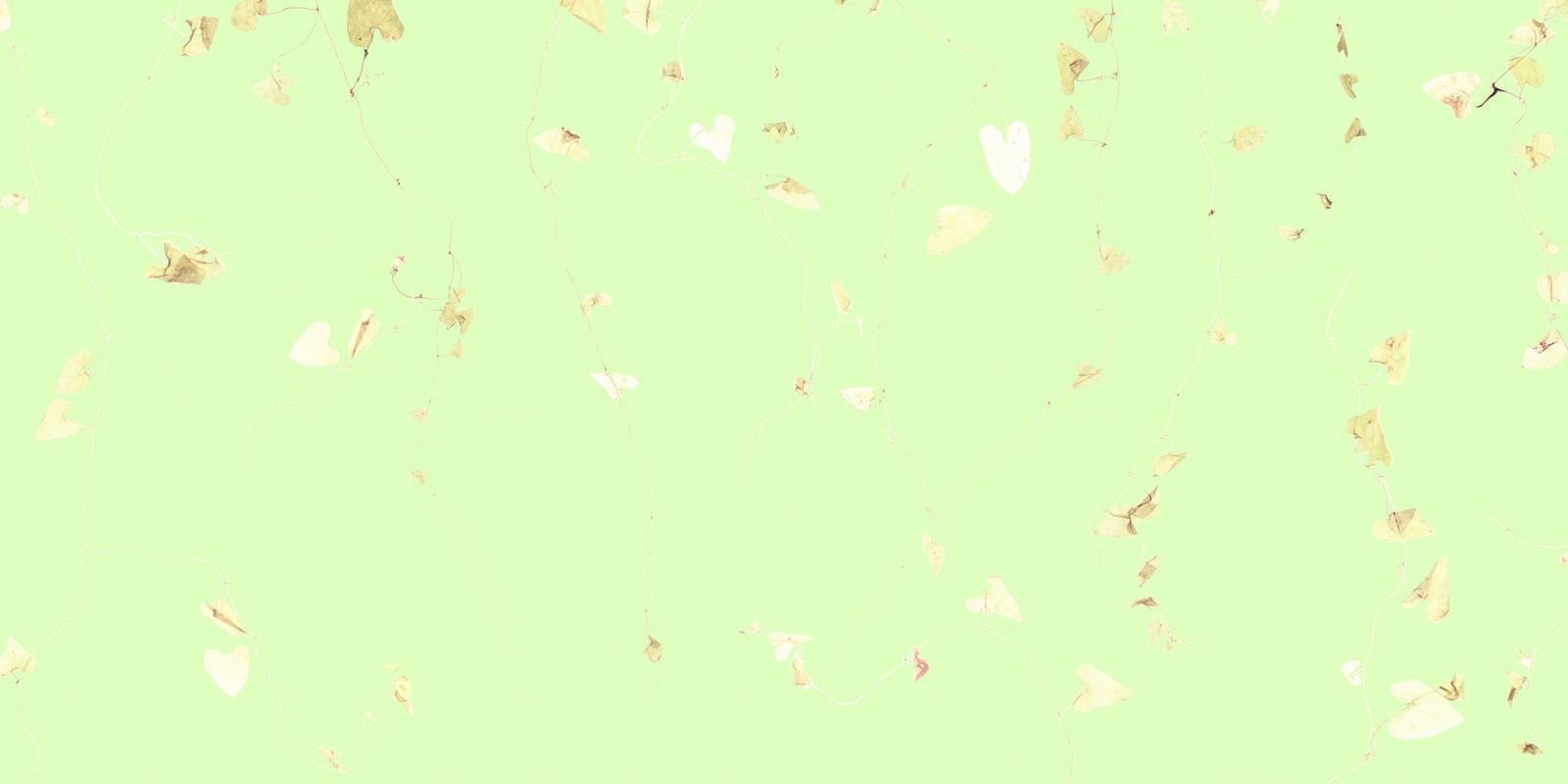 Ramas de lima - verde fresco