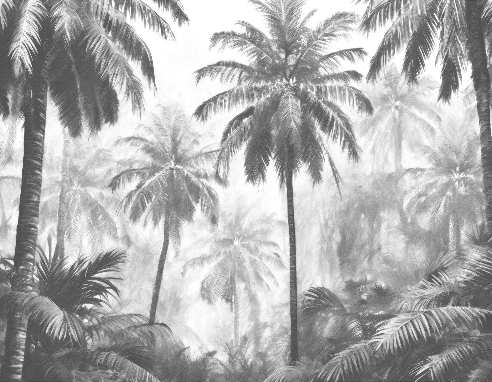 Bosque de Palmas Nebuloso