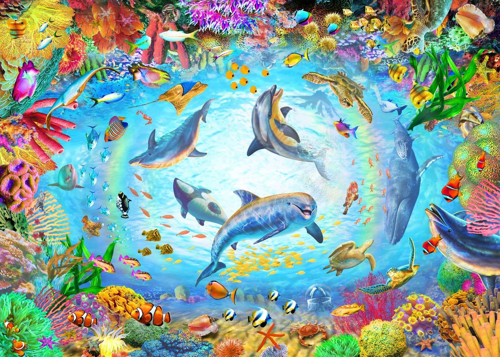 360o Underwater
