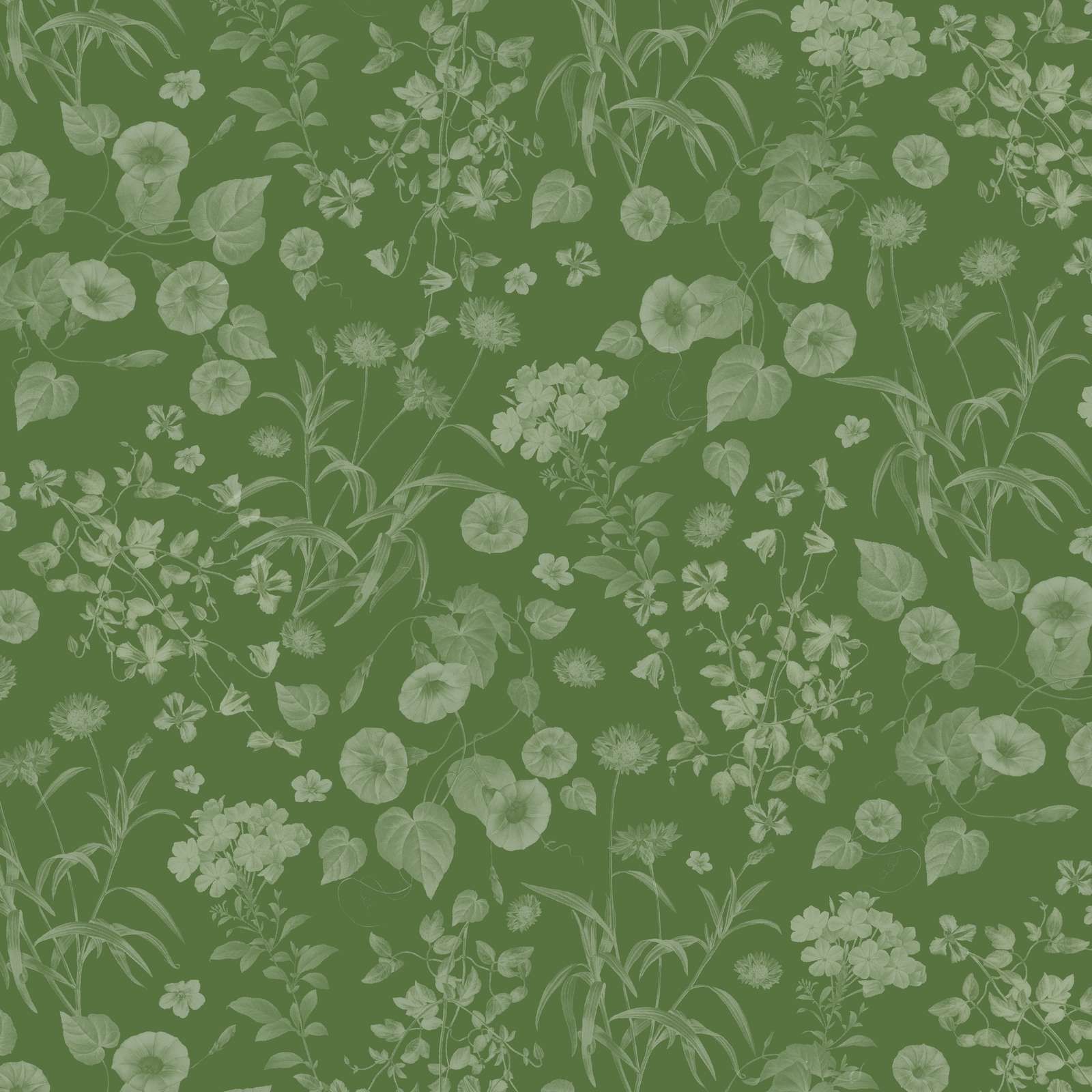 Botanical Garden