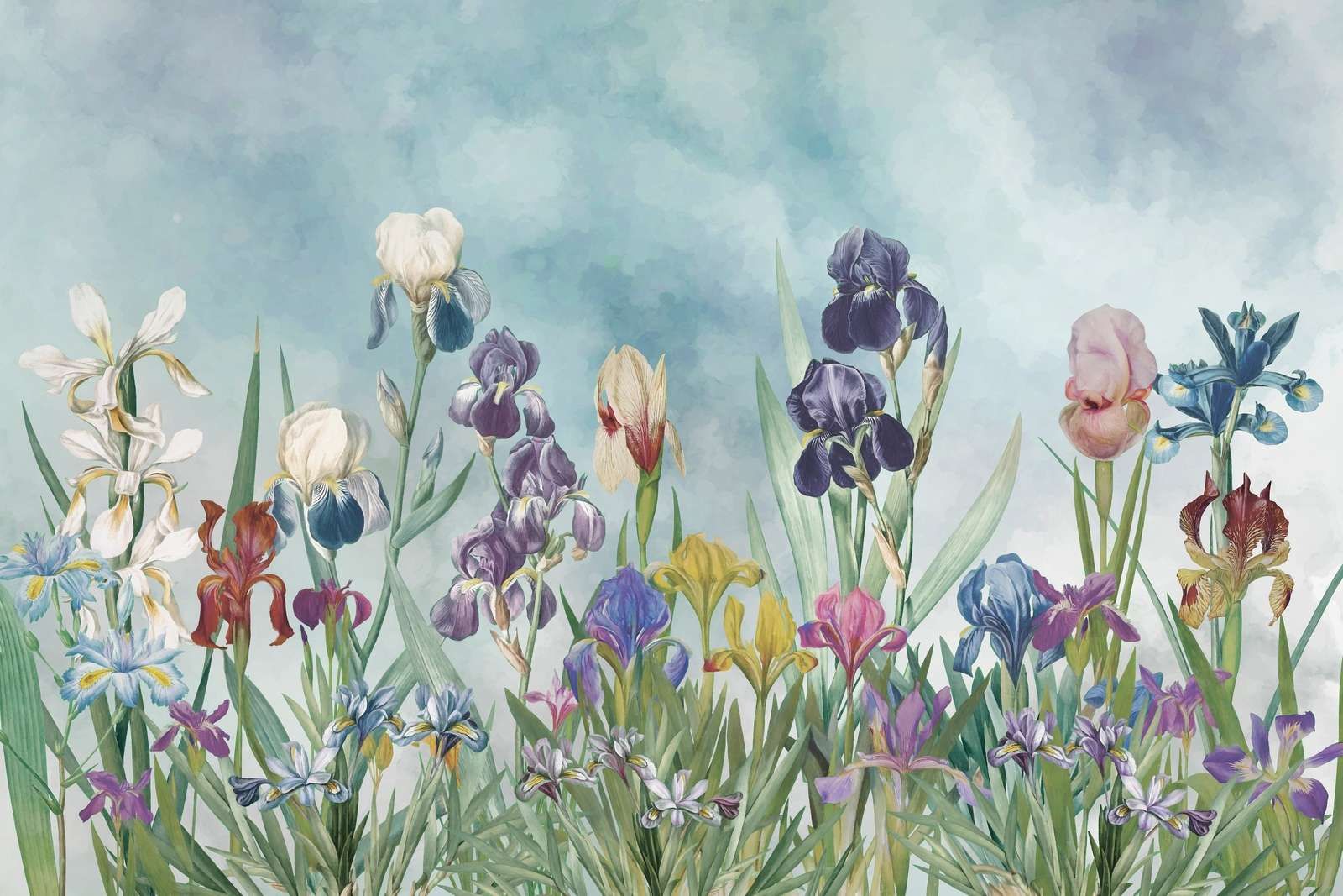 Campo de Iris