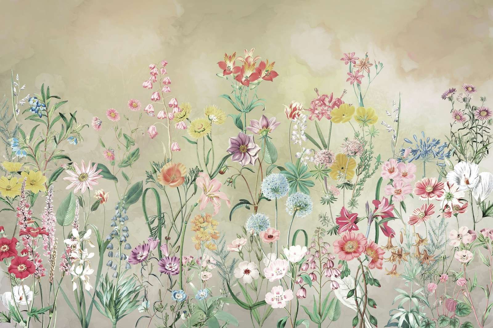 Sinfonía de Flores Silvestres
