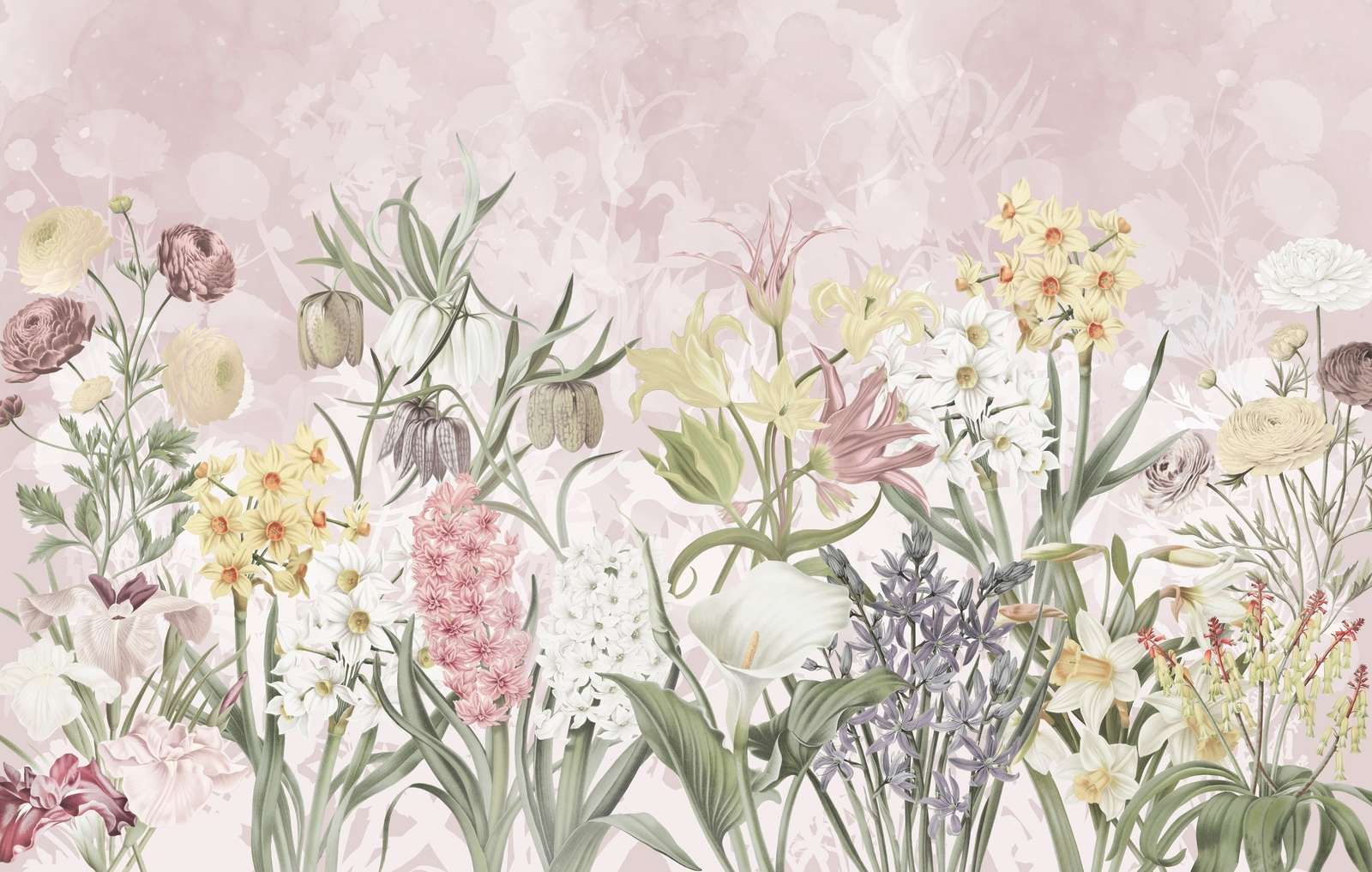 Flores de Primavera - Rosa Pétalo Pastel