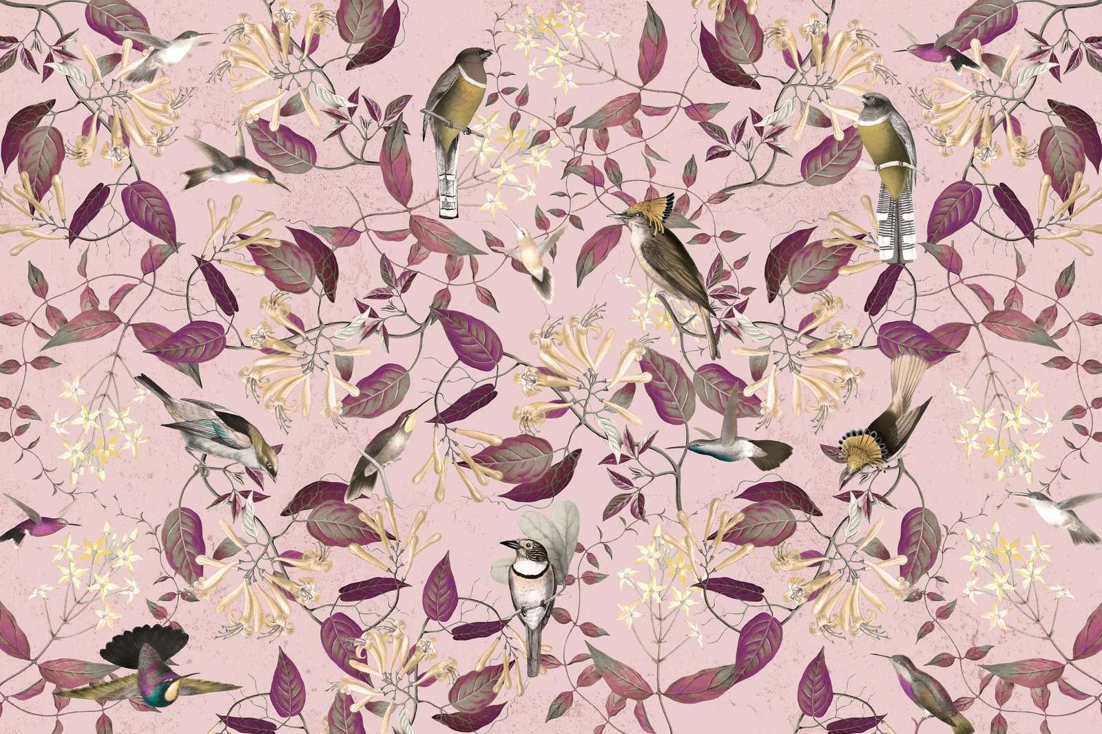 Tescoma Paraíso de Aves - Rosa Suave