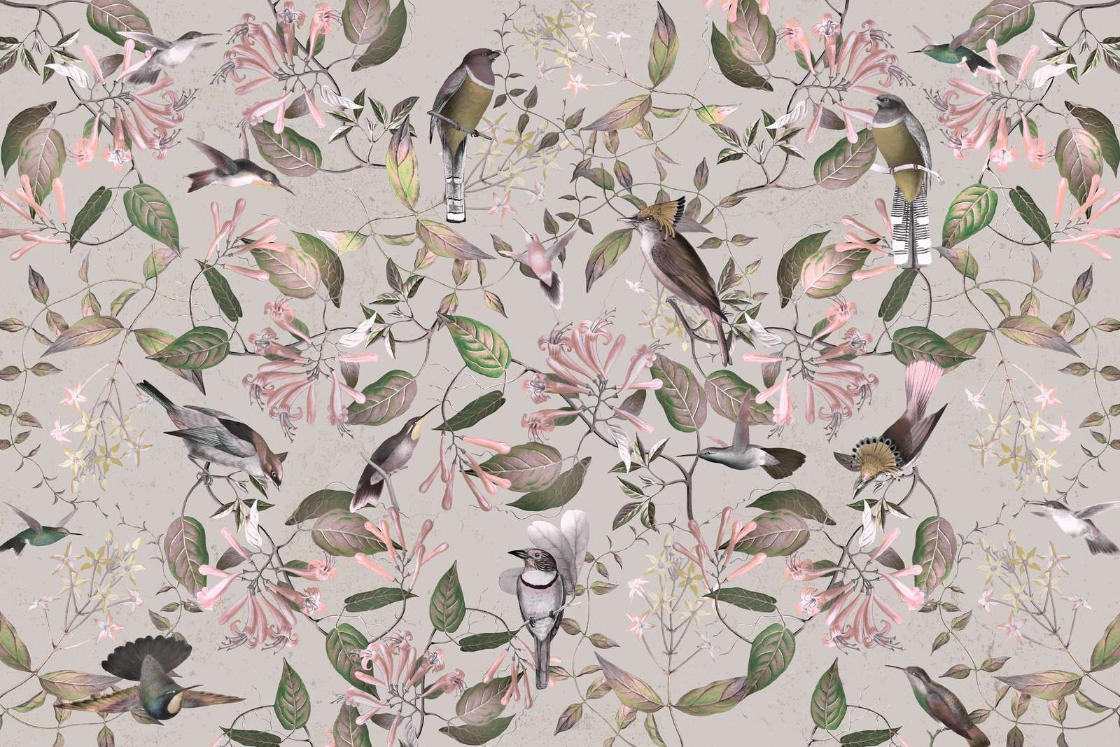 Tescoma Paraíso de Aves - Rubor Crema