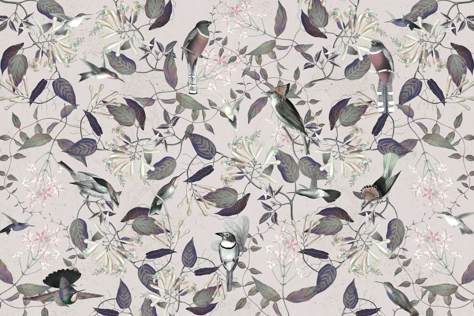 Tescoma Paraíso de Aves - Violeta Medianoche