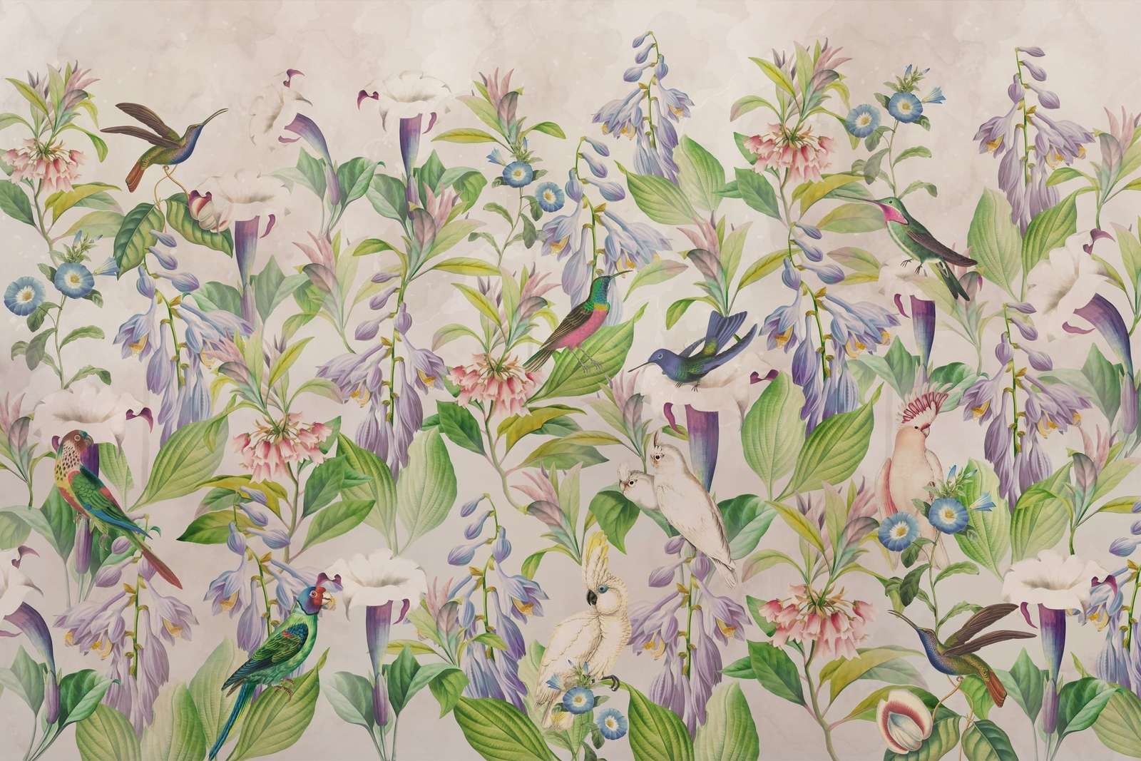 Canto Etéreo de Aves - Paraíso Pastel