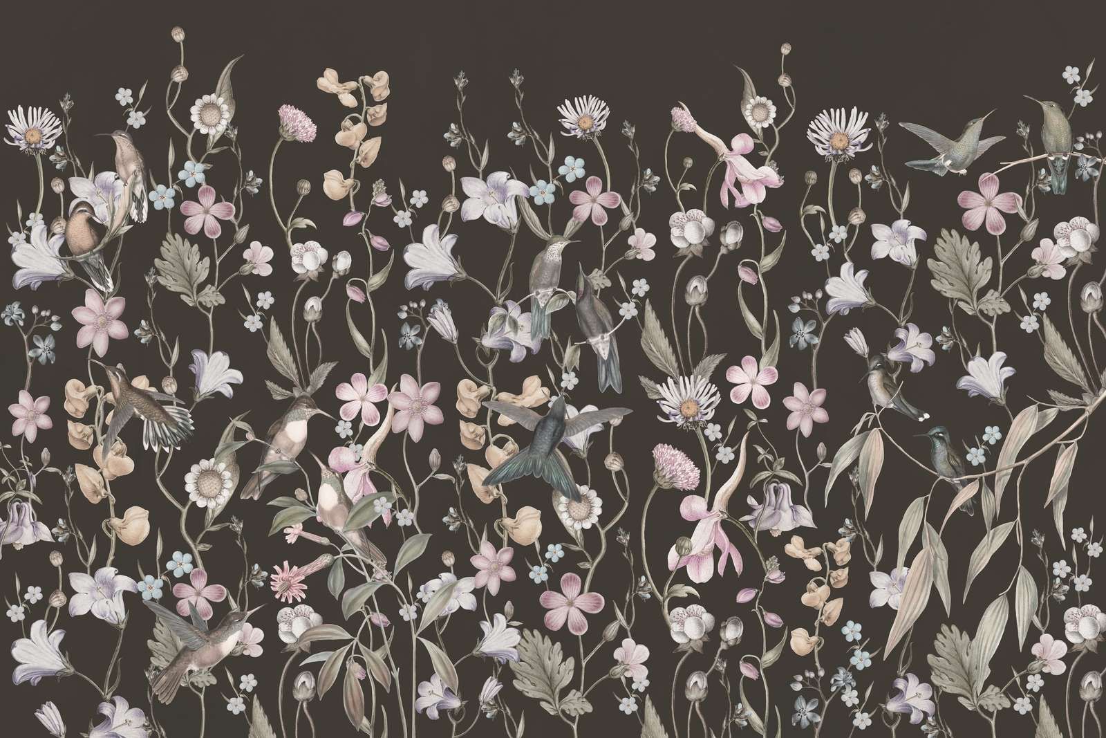 Primavera Etérea - Elegante Blanco Paloma