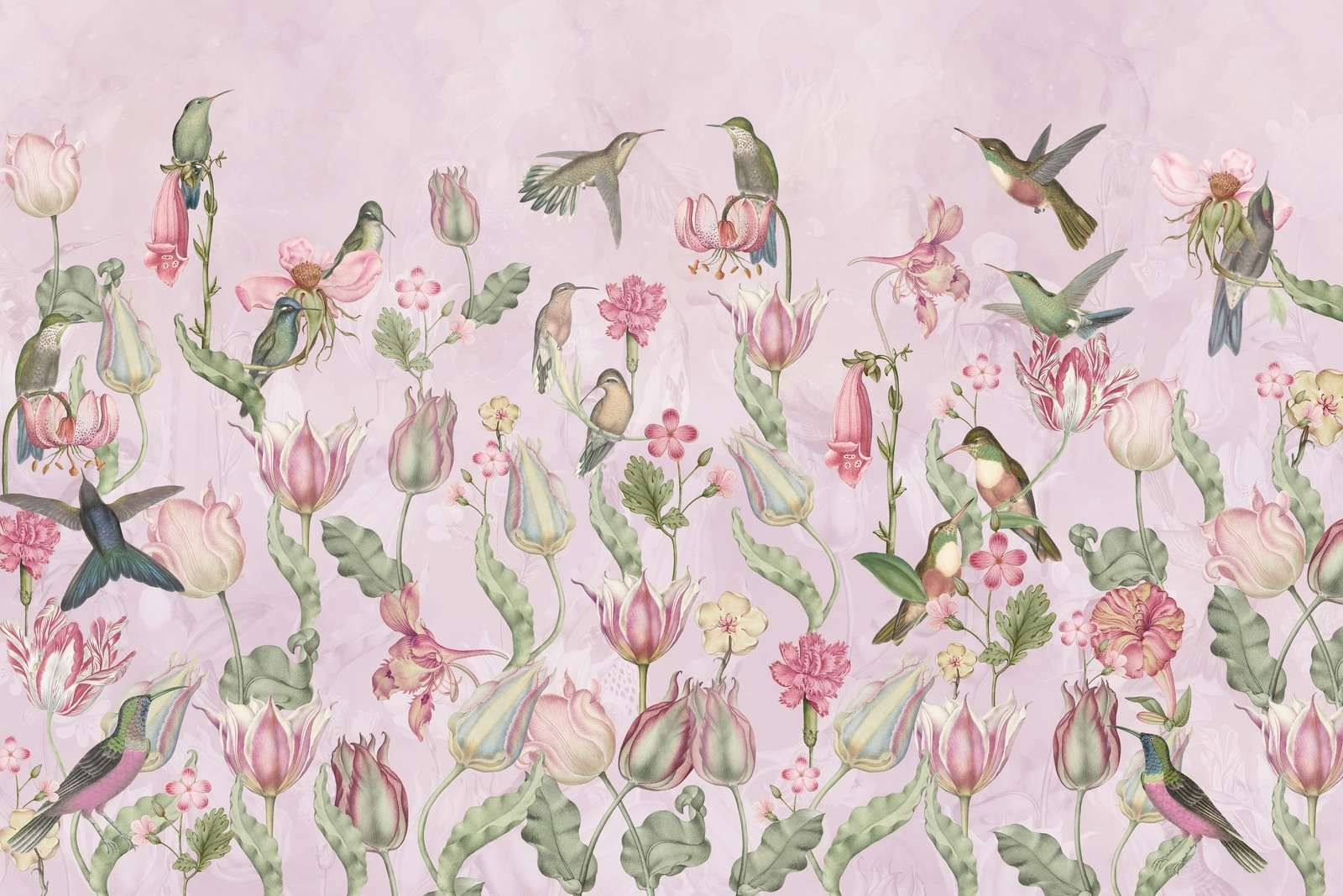 Sinfonía de Colibríes de Primavera - Rosa en Flor