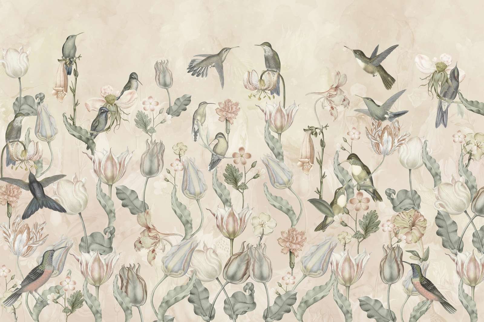 Sinfonía de Colibríes de Primavera - Susurro del Desierto