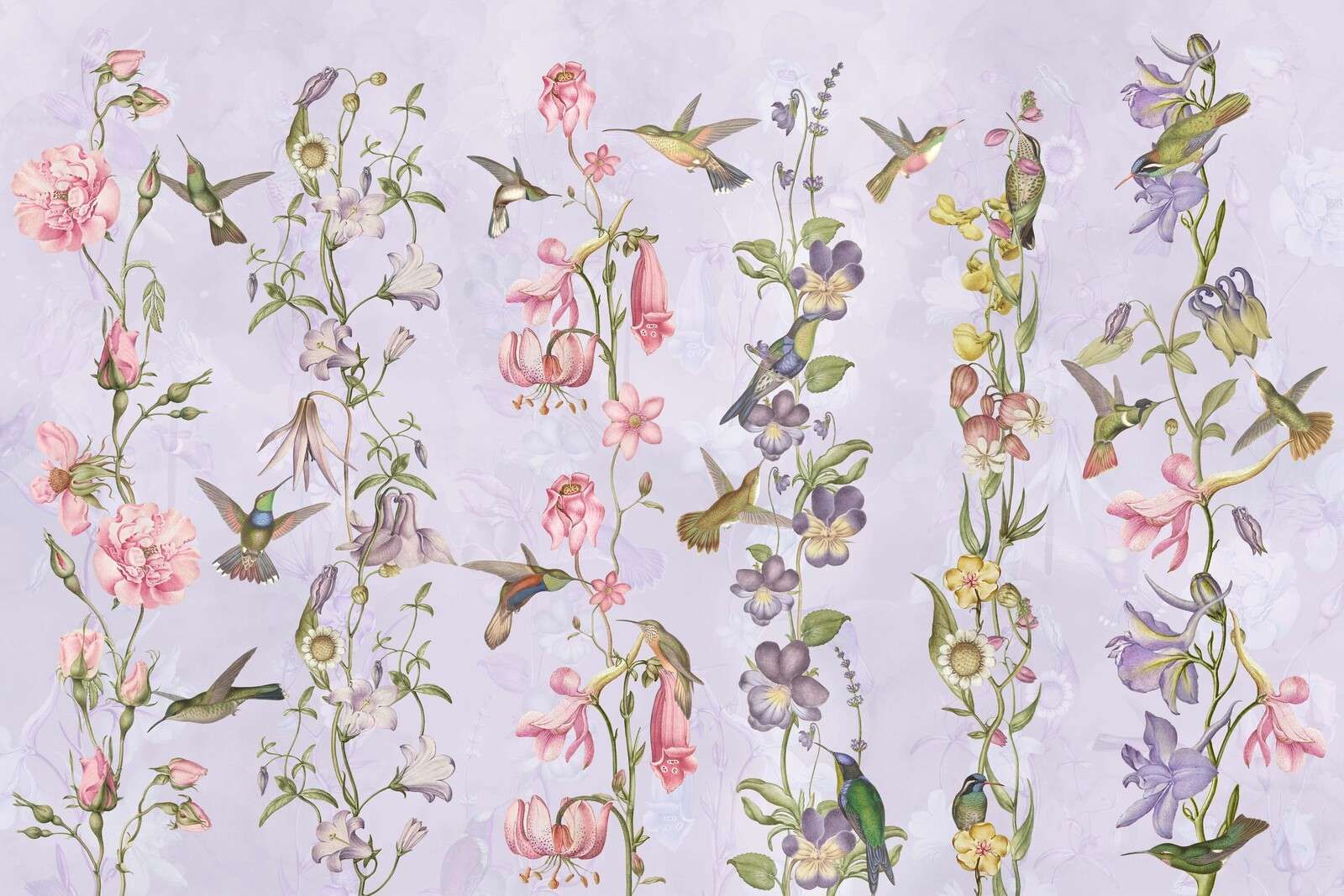 Flores de pradera y jardín Violeta