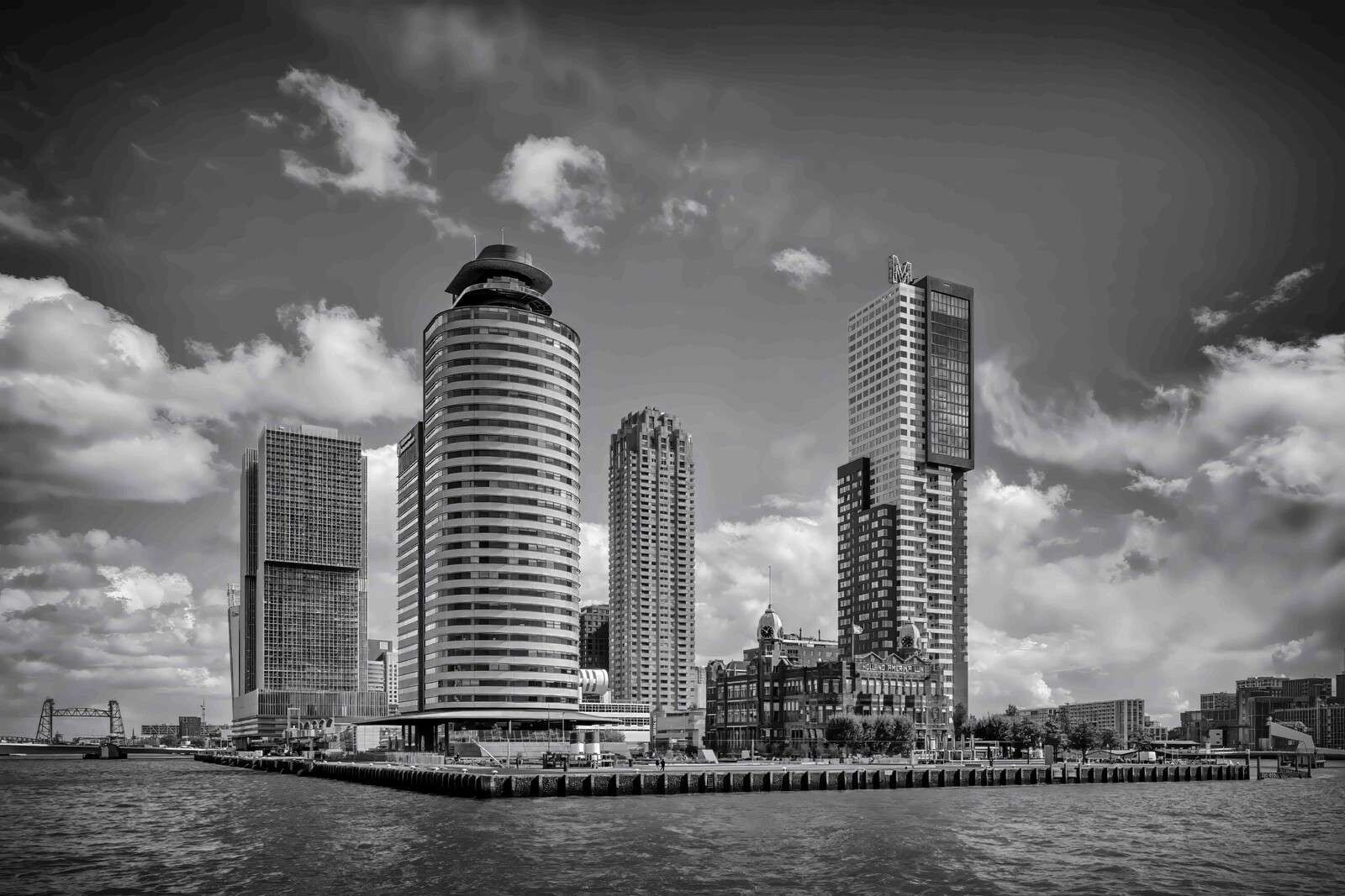Contraste en Blanco y Negro en la Cabeza del Sur