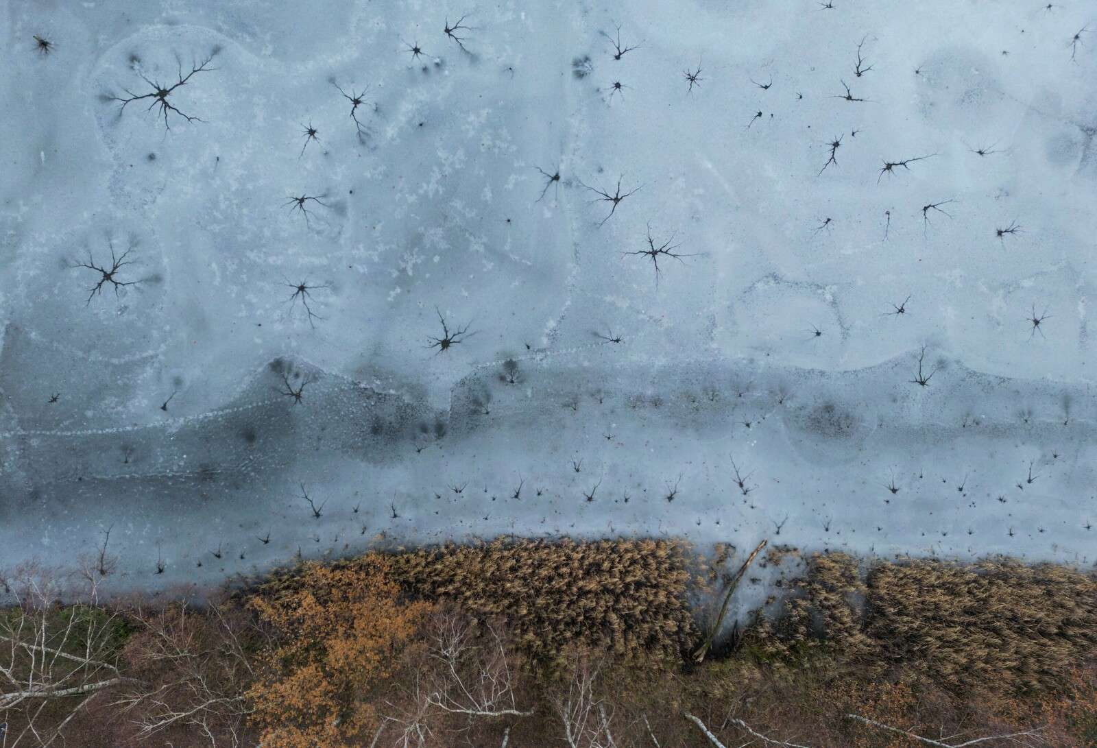 Texturas de invierno