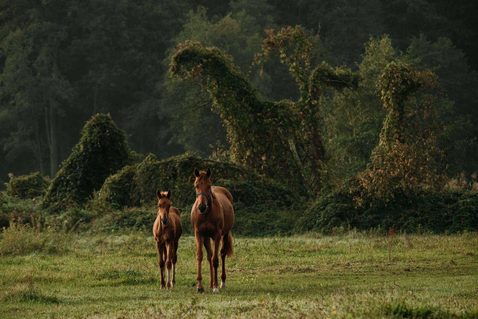 Caballos en un paisaje místico