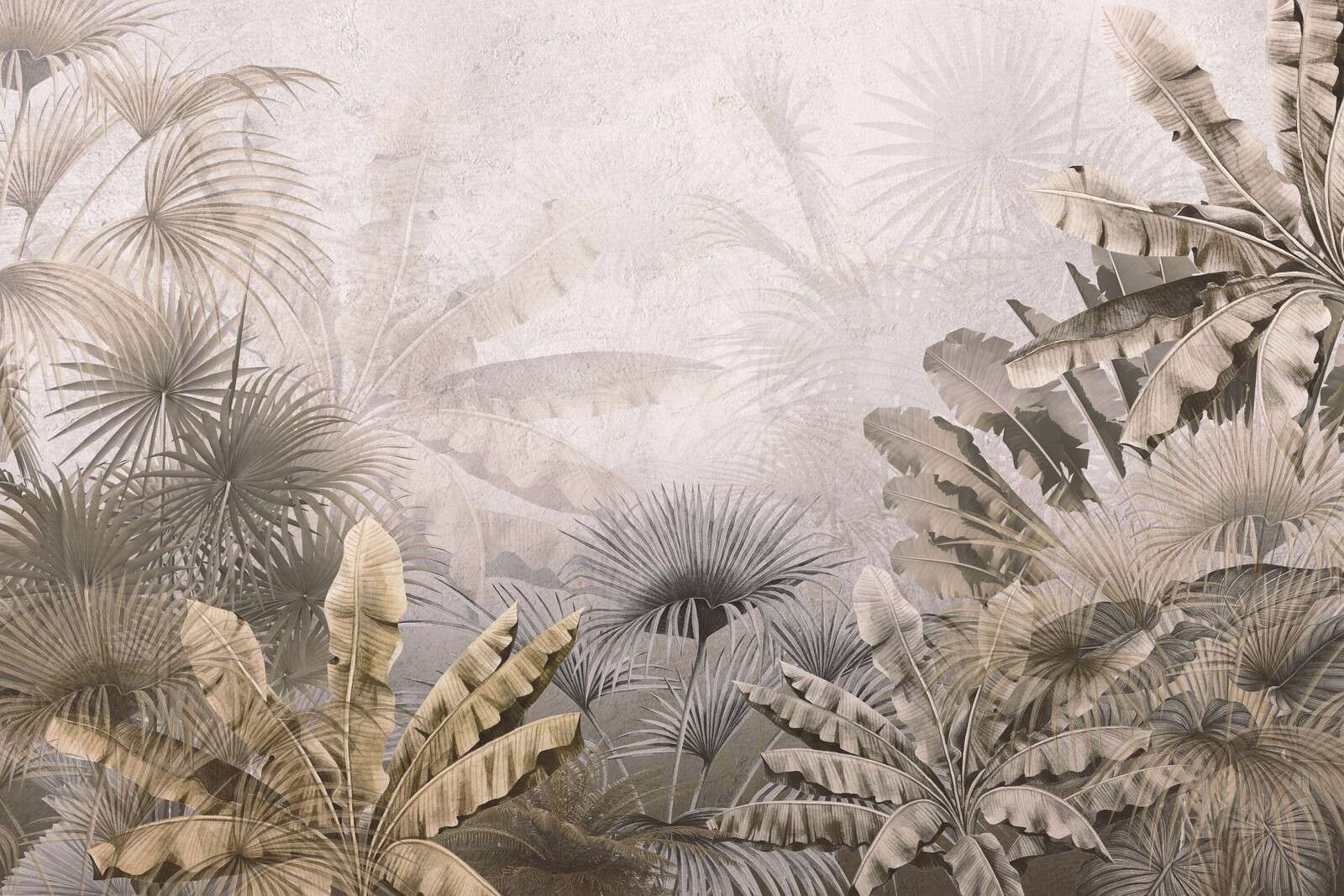 Misteriosa jungla esplendor