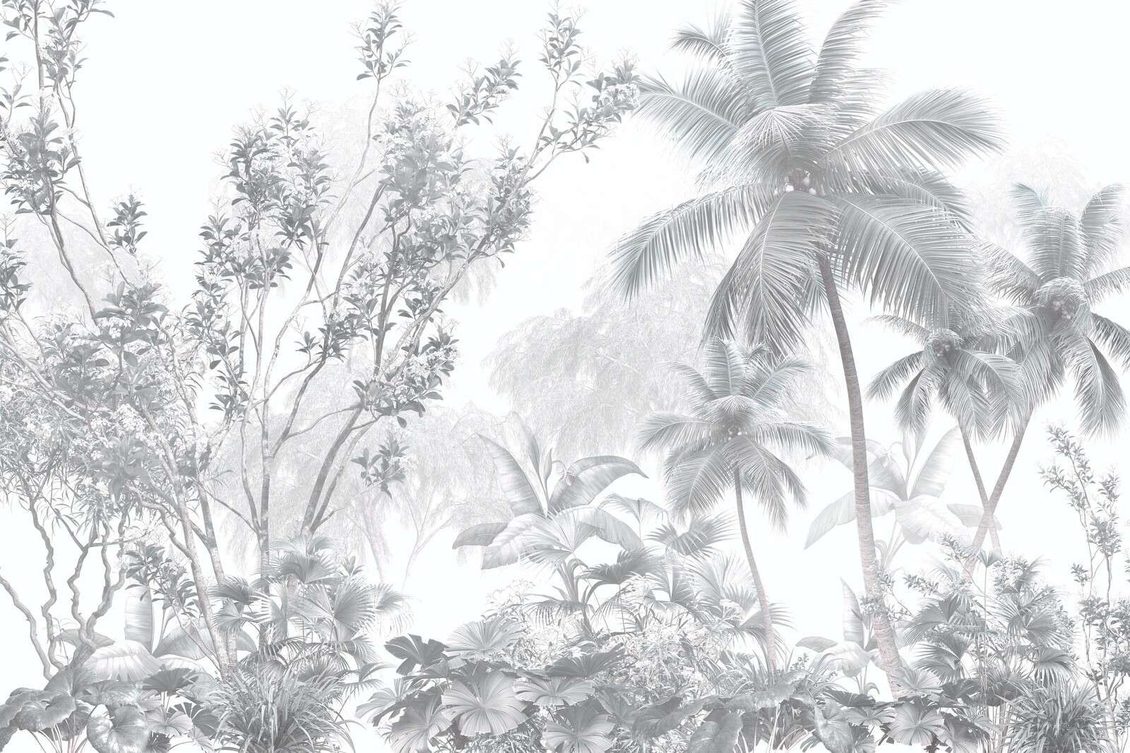 Palmas de niebla tropicales