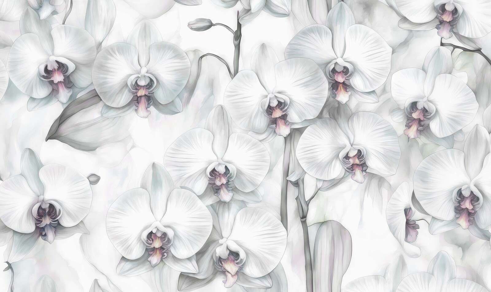 Paraíso Verde de Orquídeas