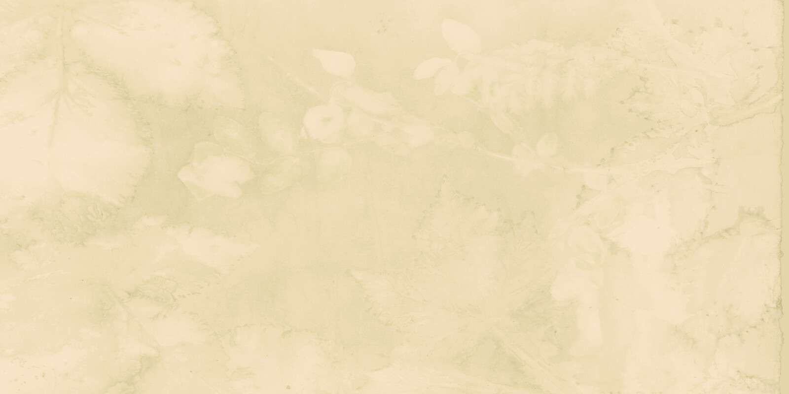 Nieve y mora silvestre - jade