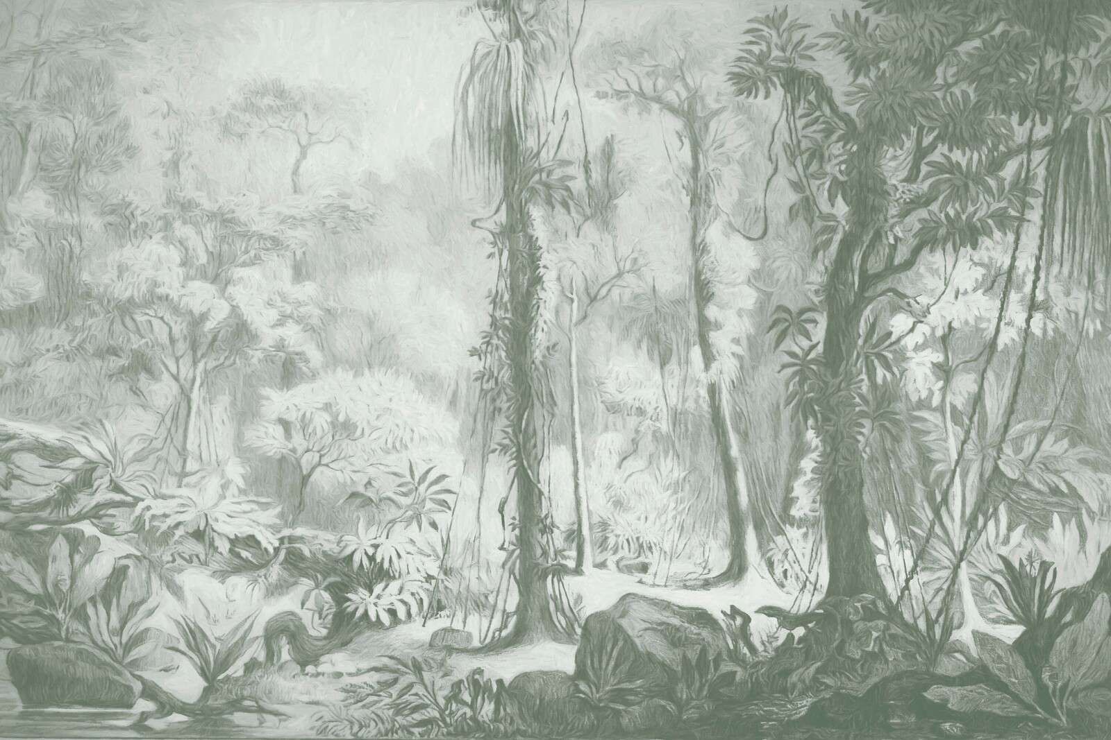 Bosque tropical - verde
