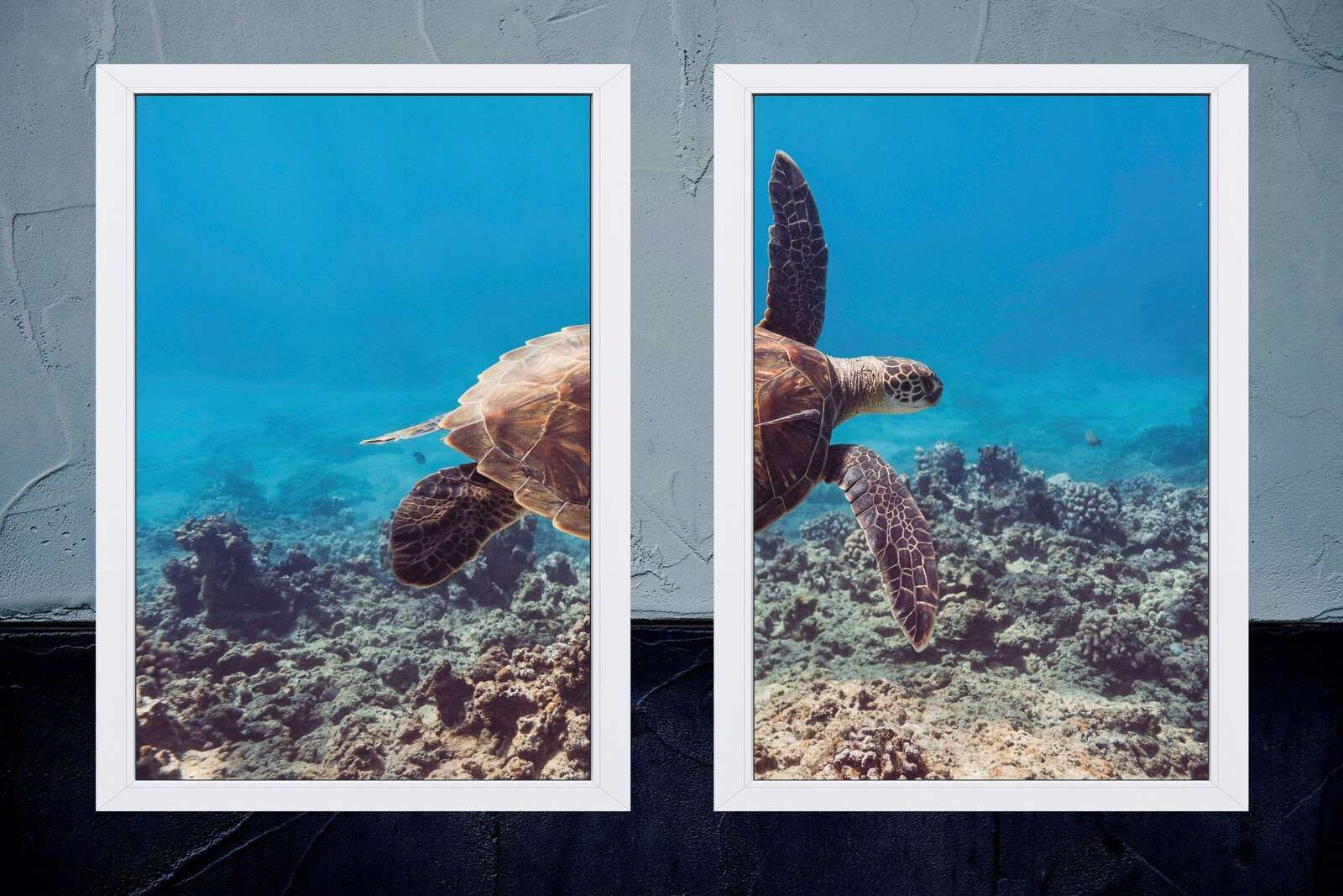 Tortuga sobre el arrecife de coral