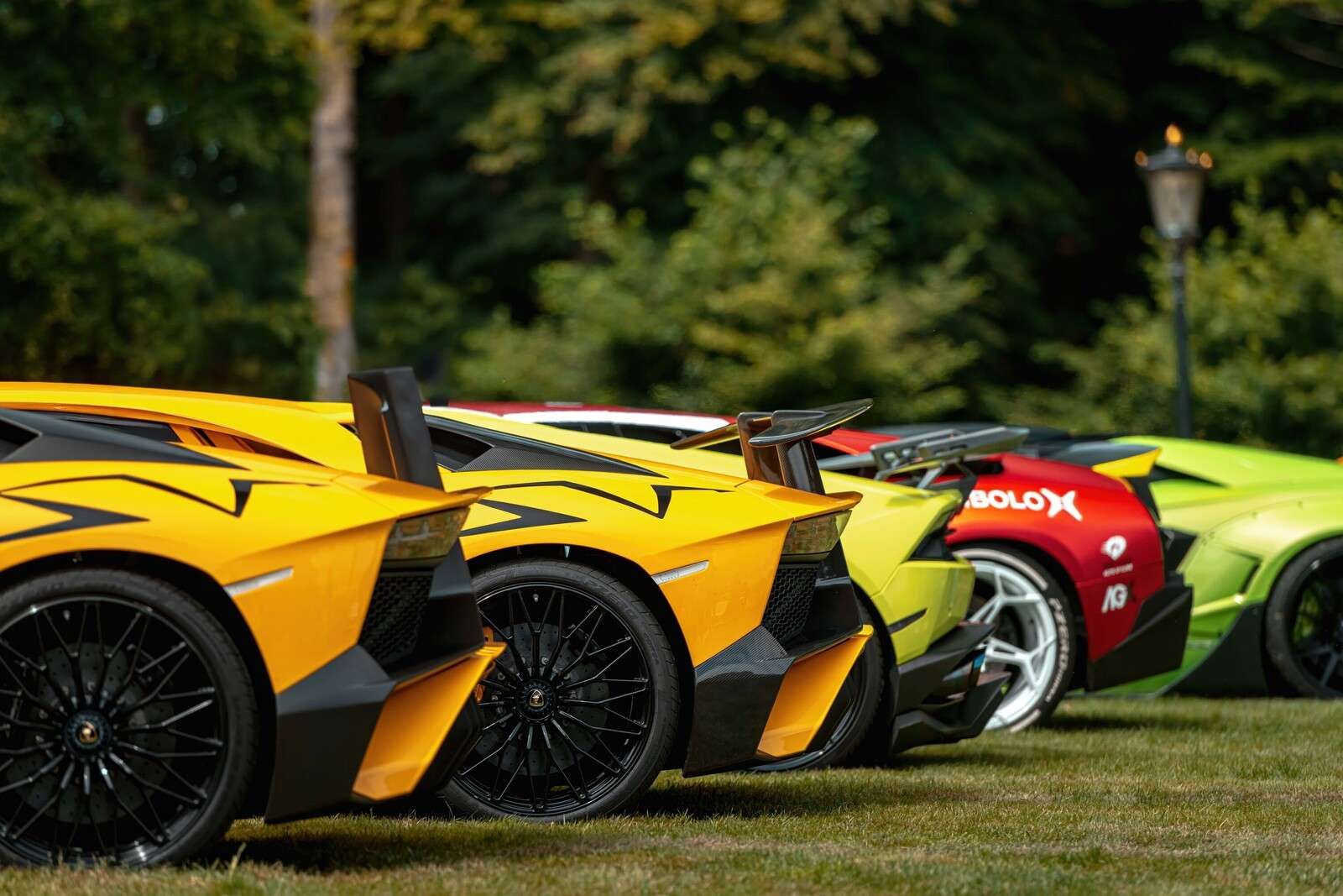 Colección de supercoches en la naturaleza