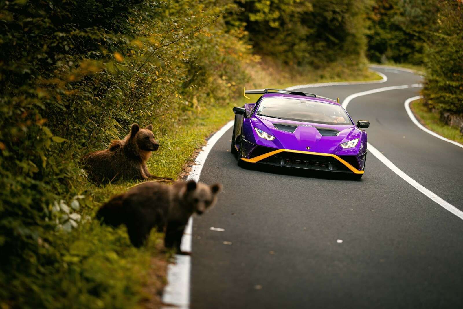 Naturaleza se encuentra con velocidad