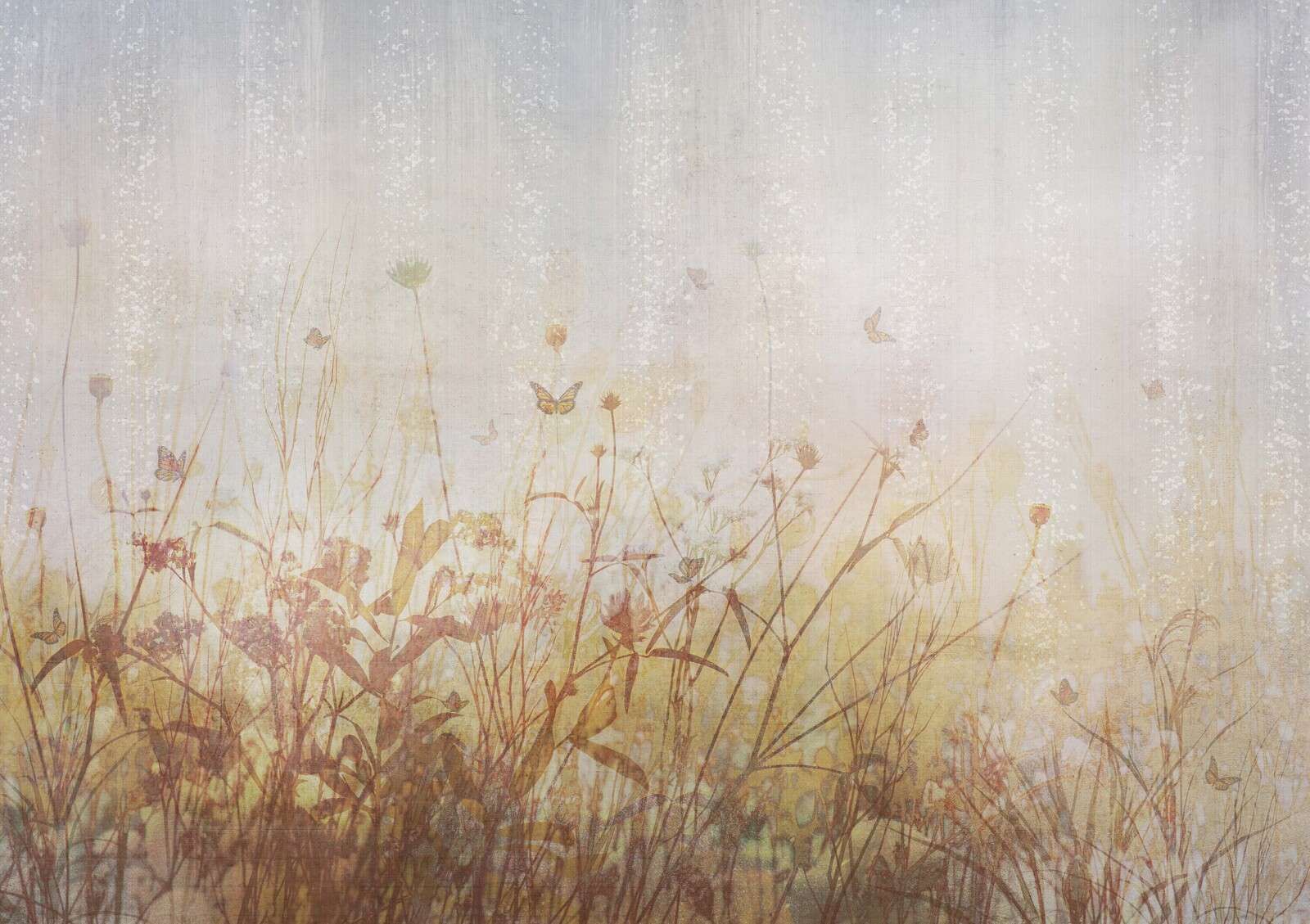 Pradera de verano con mariposas