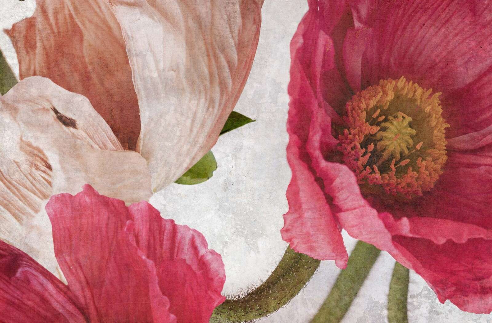 Amapolas en rosa y beige polvo