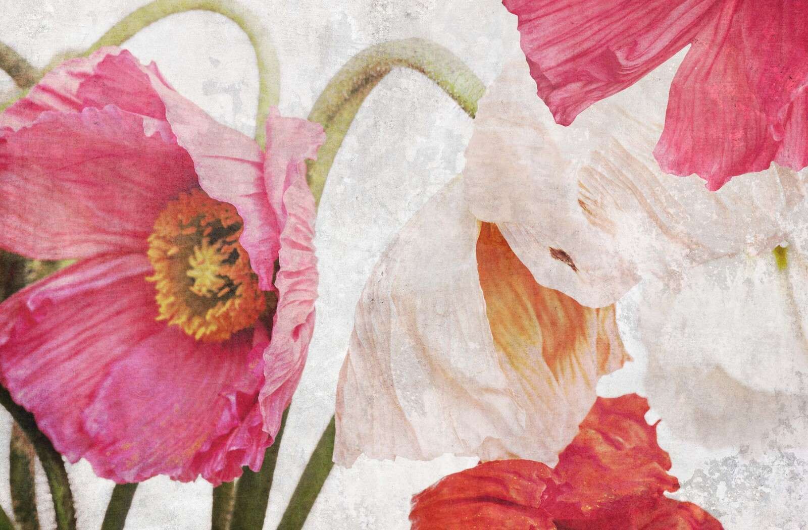 Amapolas danzantes en el aire de verano