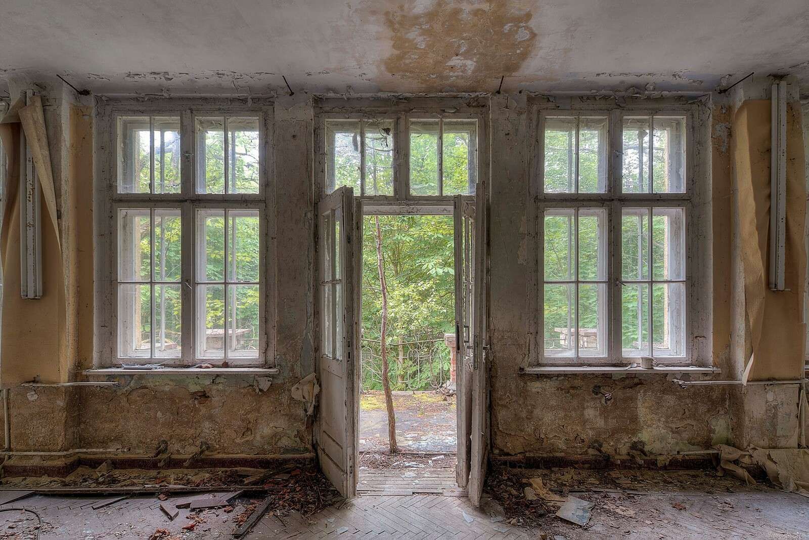 Habitación desgastada con vista al bosque