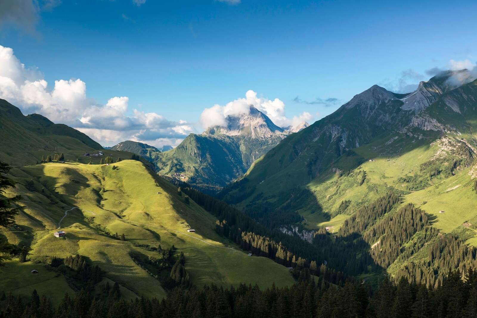Luz de verano sobre un valle alpino verde.