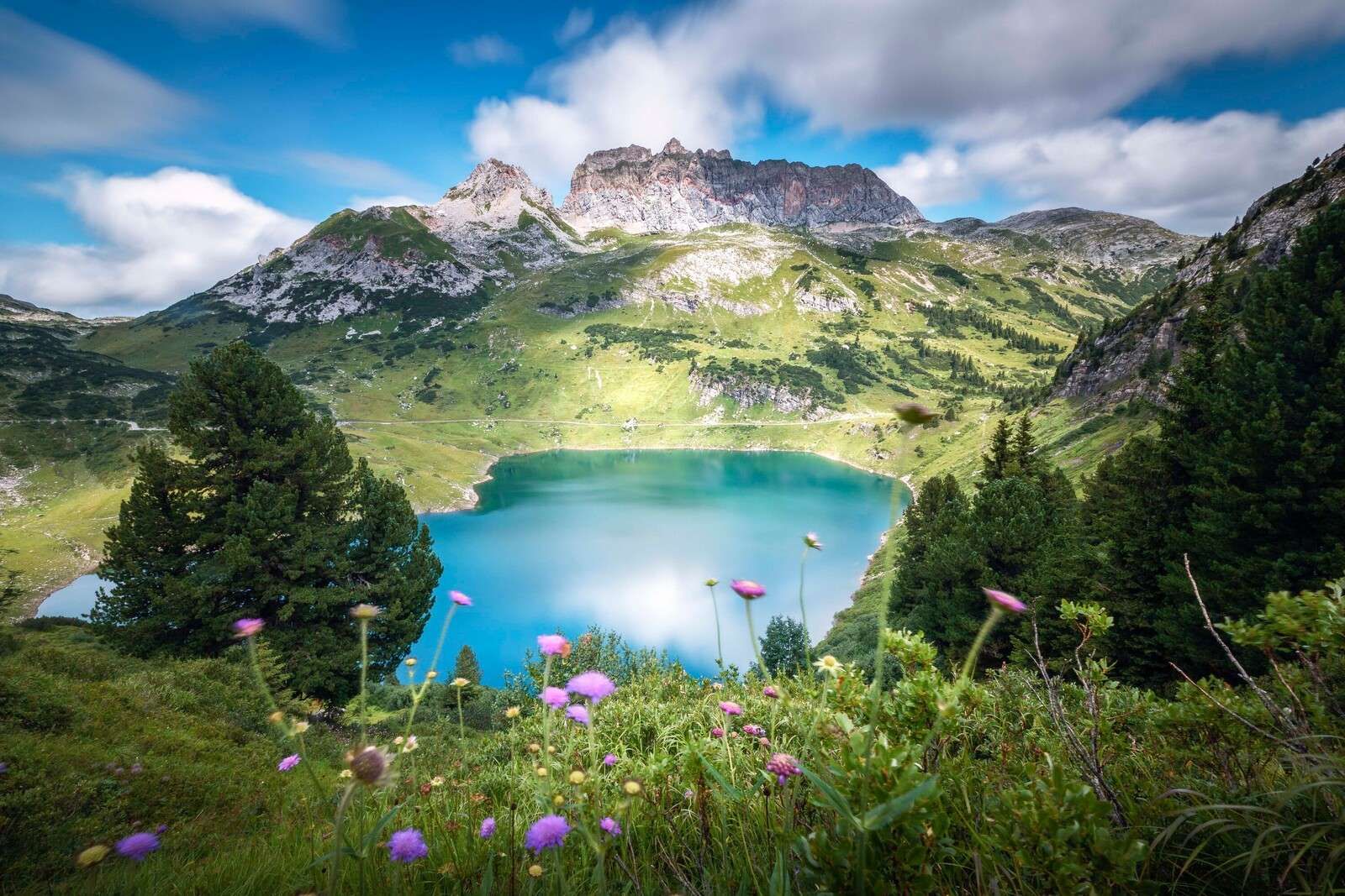 Lago de montaña con flores silvestres alpinas.
