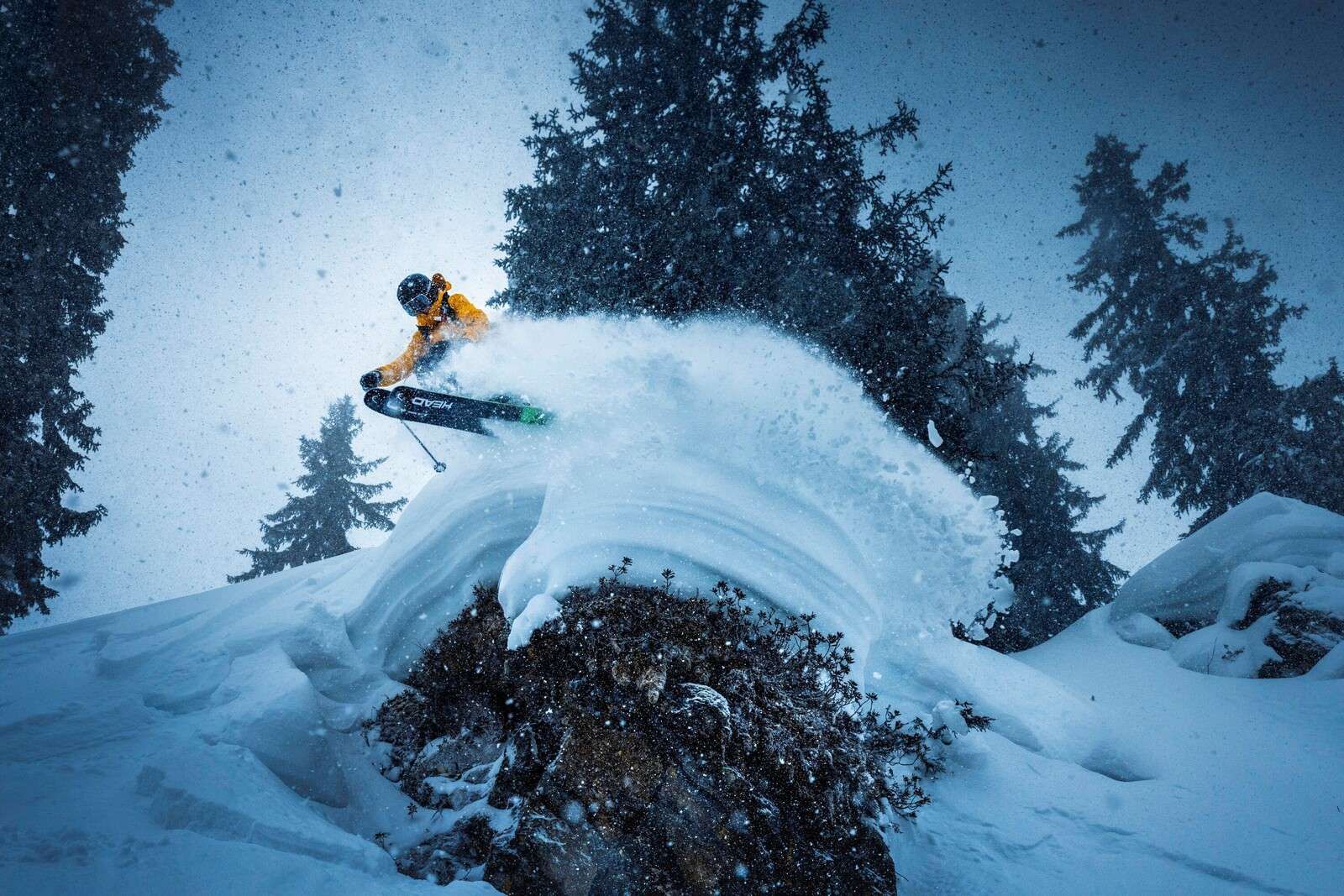 Salto en tormenta de nieve entre árboles de pino.
