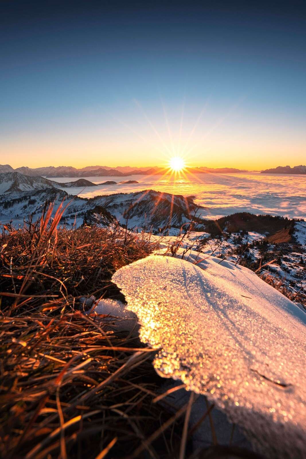 Sol de la mañana en prado de montaña brillante