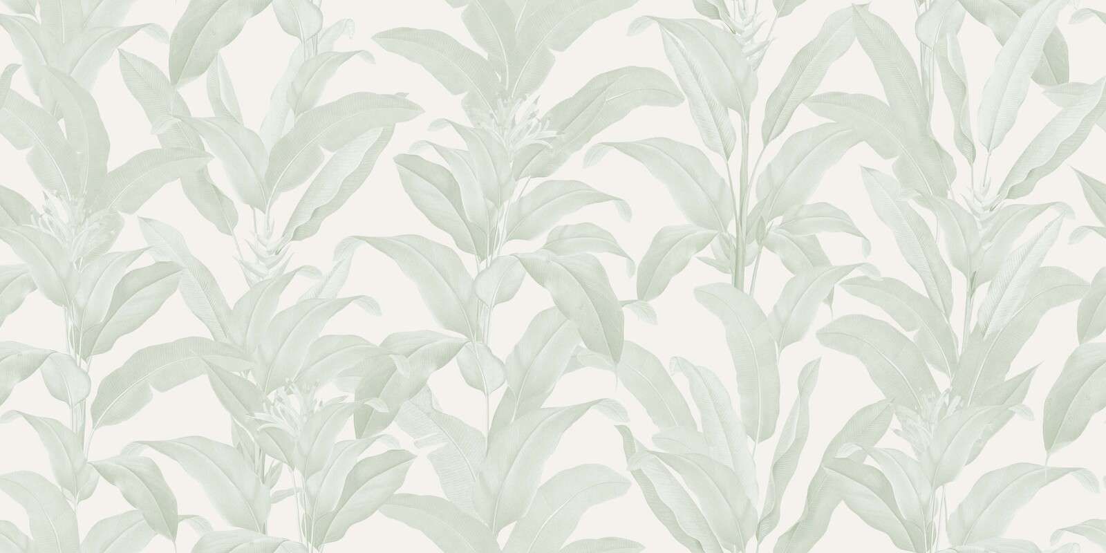Hojas tropicales suaves en verde salvia