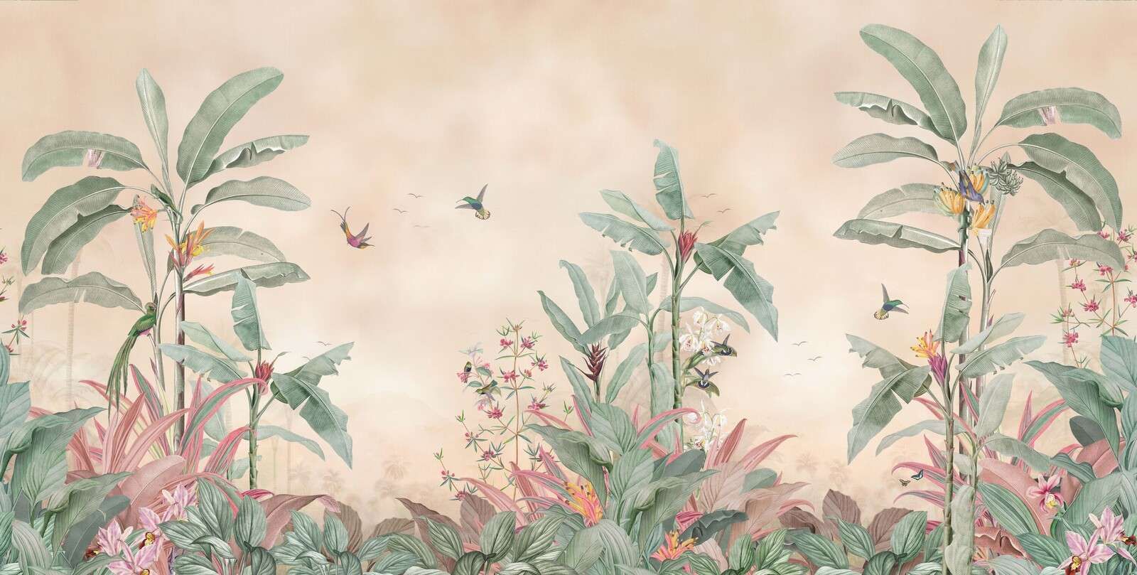 Colibríes tropicales en el bosque de plátanos. Colibríes tropicales en el bosque de plátanos.