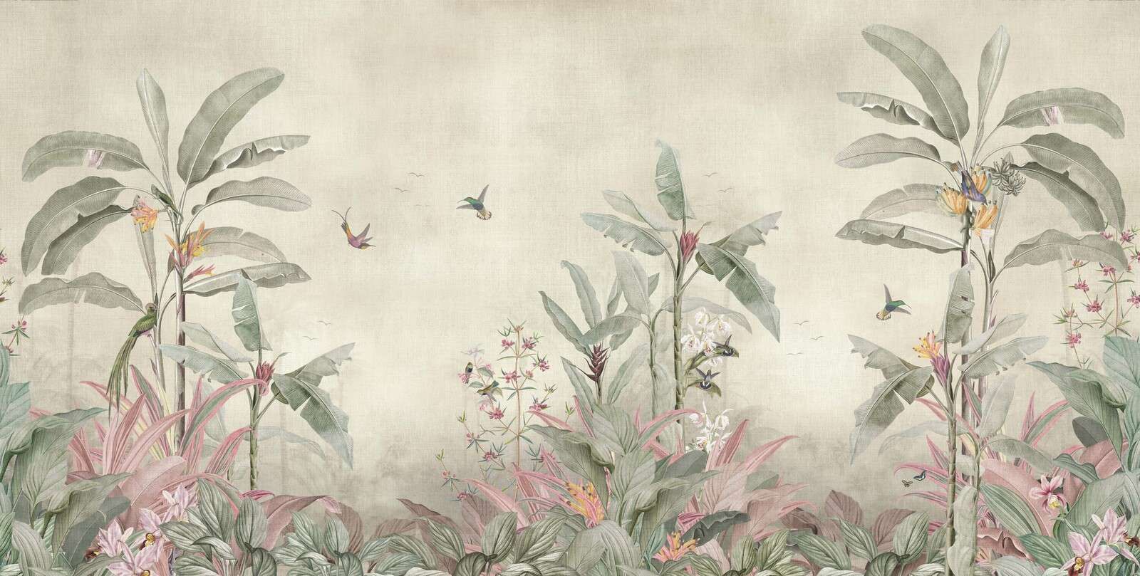 Colibríes entre suaves hojas de plátano.